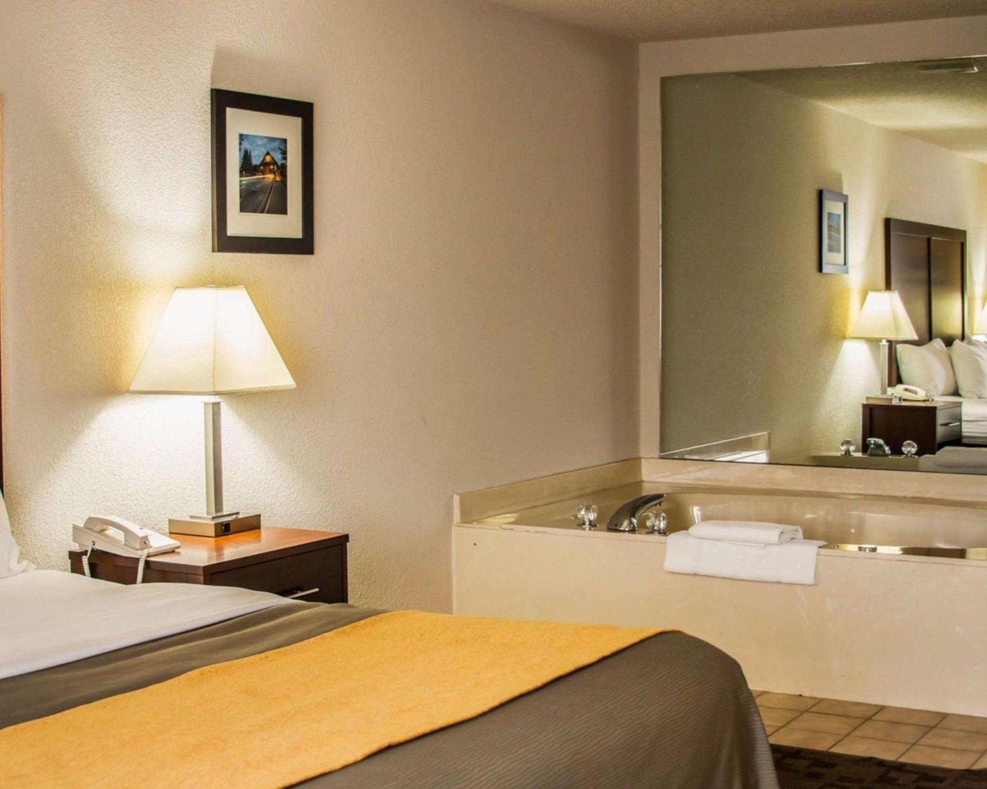 Comfort Inn Birch Run - Frankenmuth photo 20