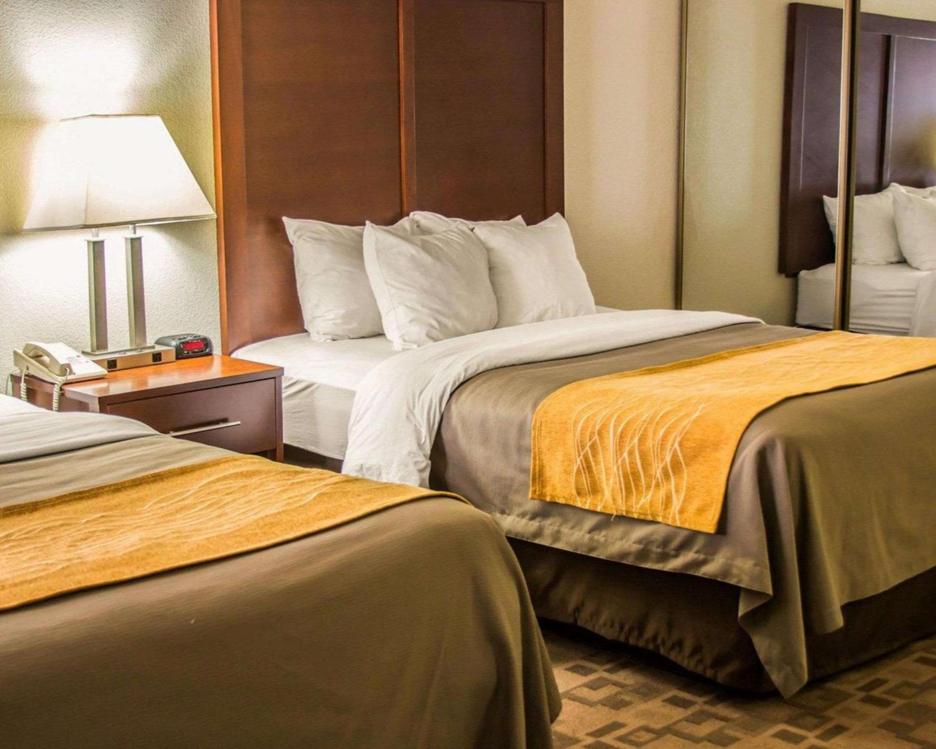Comfort Inn Birch Run - Frankenmuth photo 7