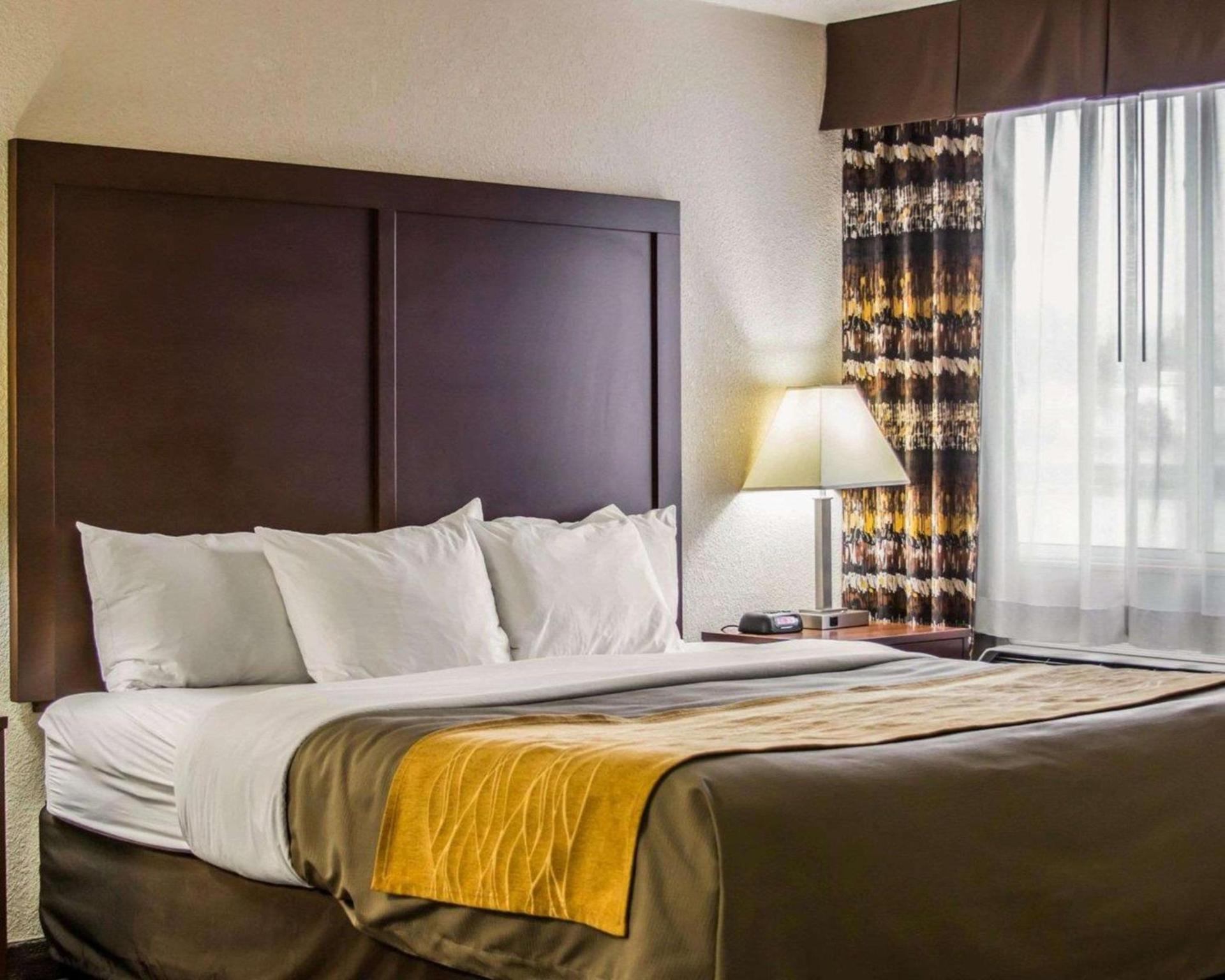 Comfort Inn Birch Run - Frankenmuth photo 14