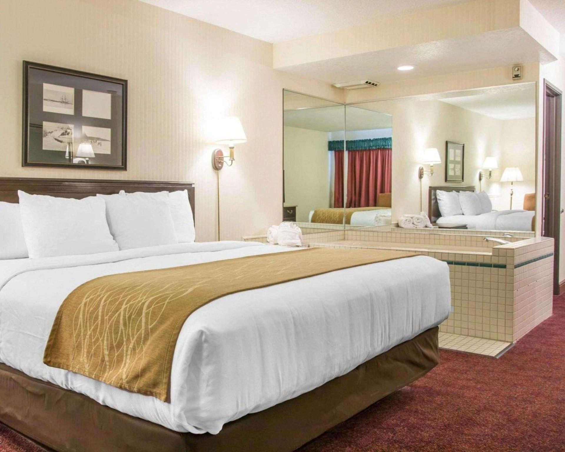 Comfort Inn Lakeside photo 25