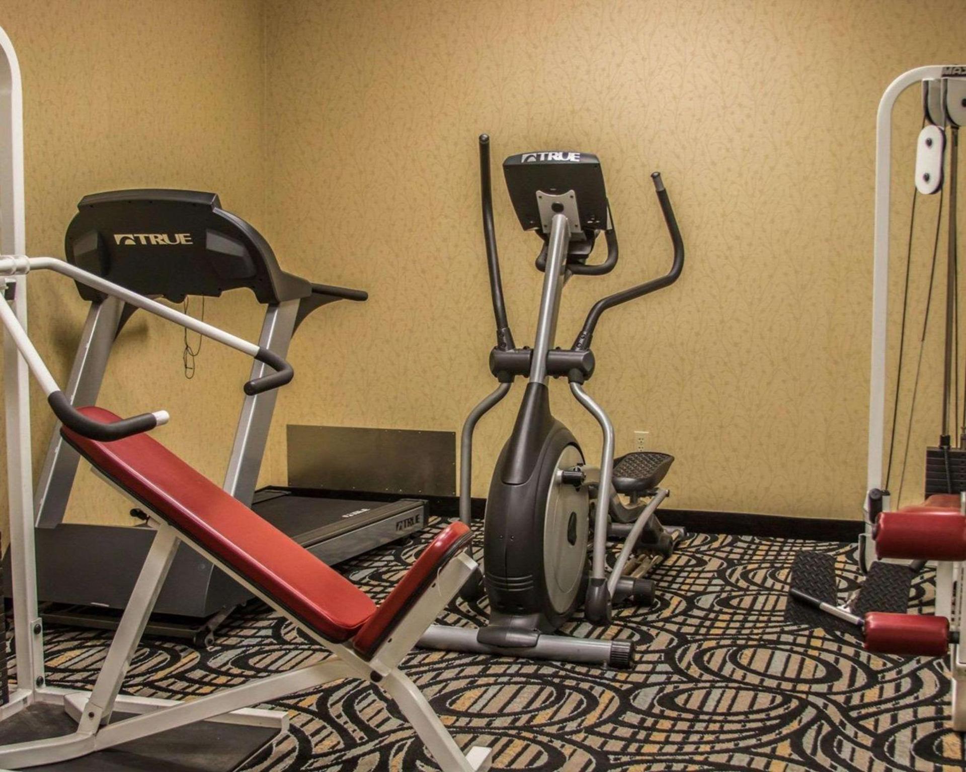 Comfort Inn Birch Run - Frankenmuth photo 28