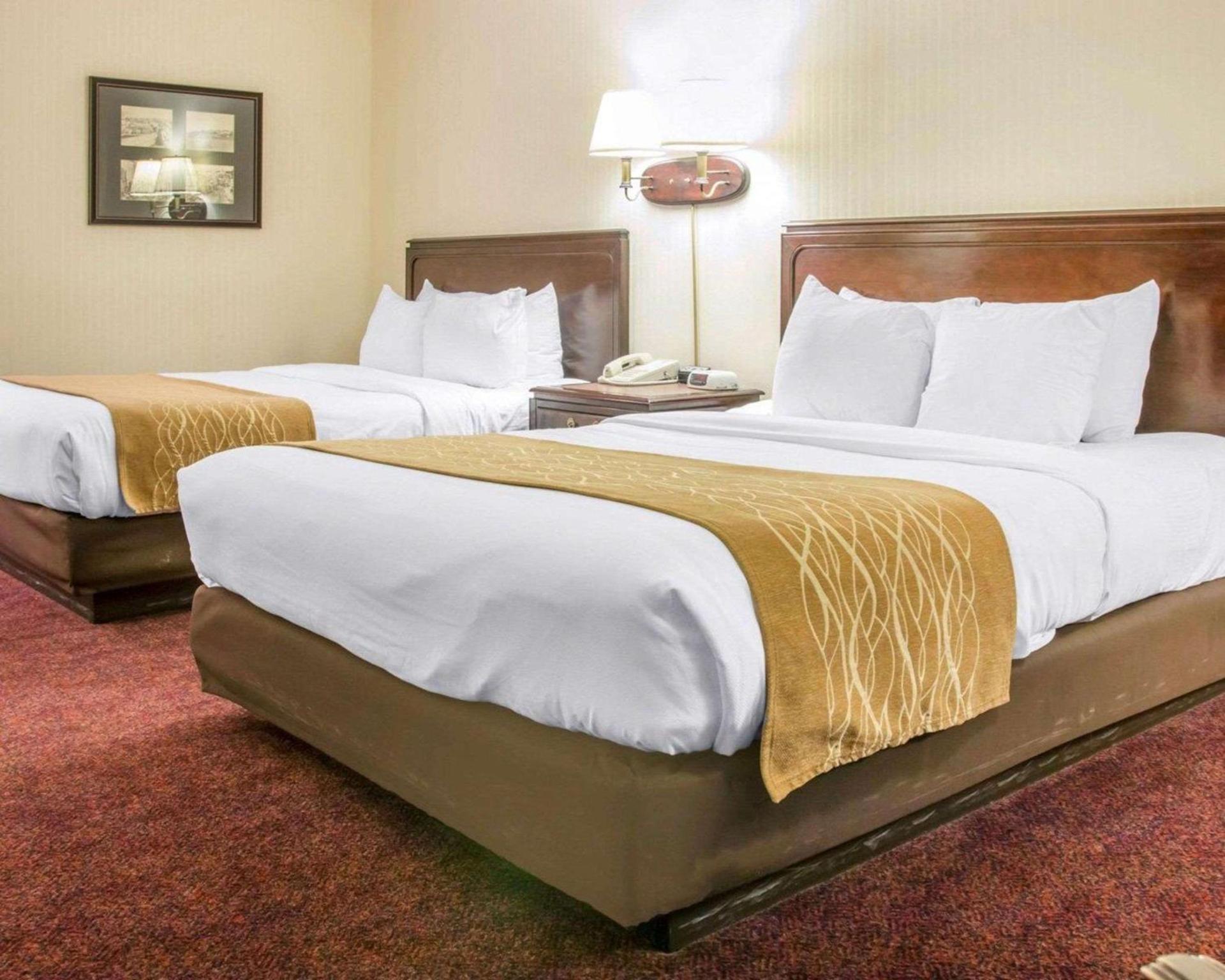 Comfort Inn Lakeside photo 23