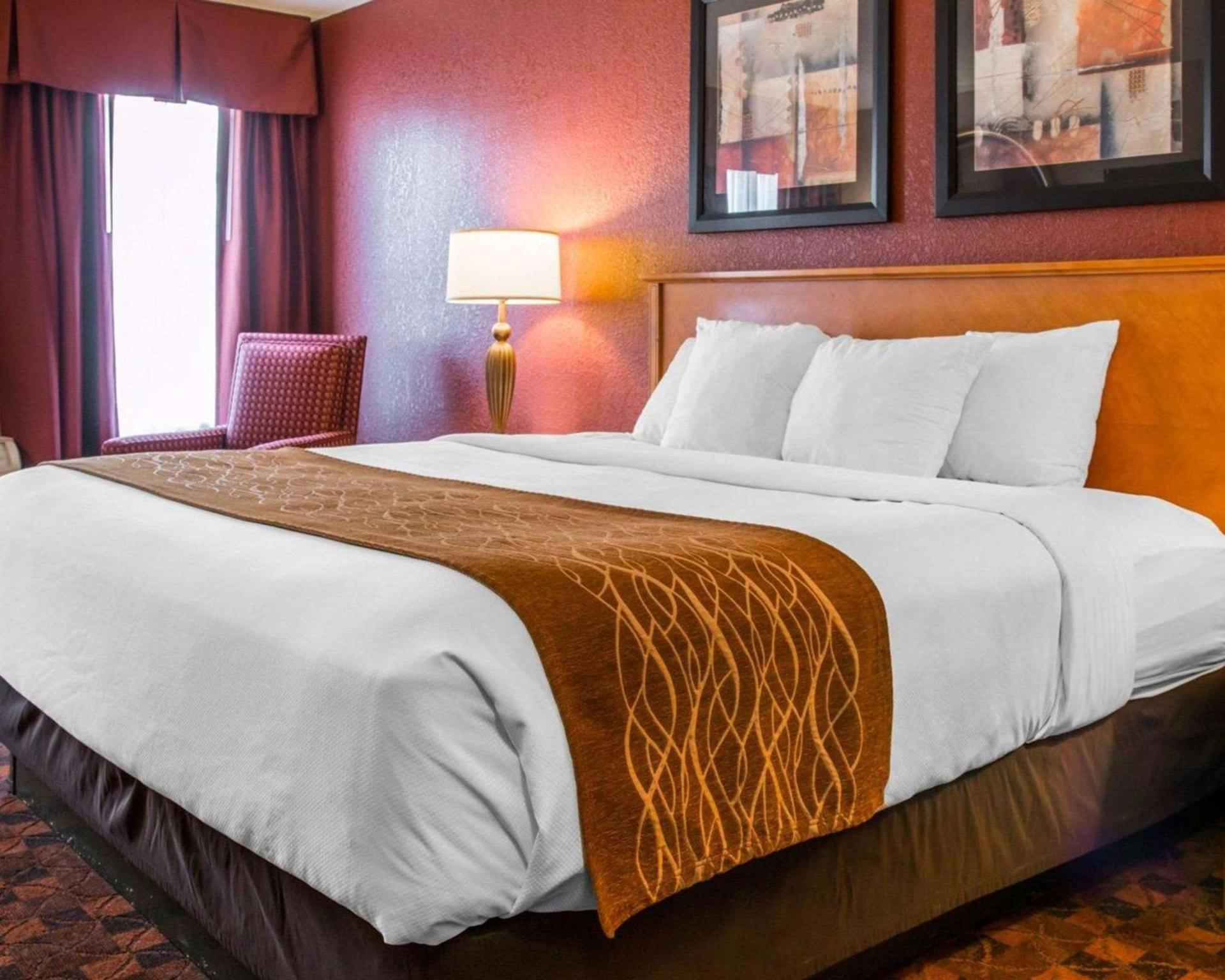 Comfort Inn & Suites and Conference Center photo 13