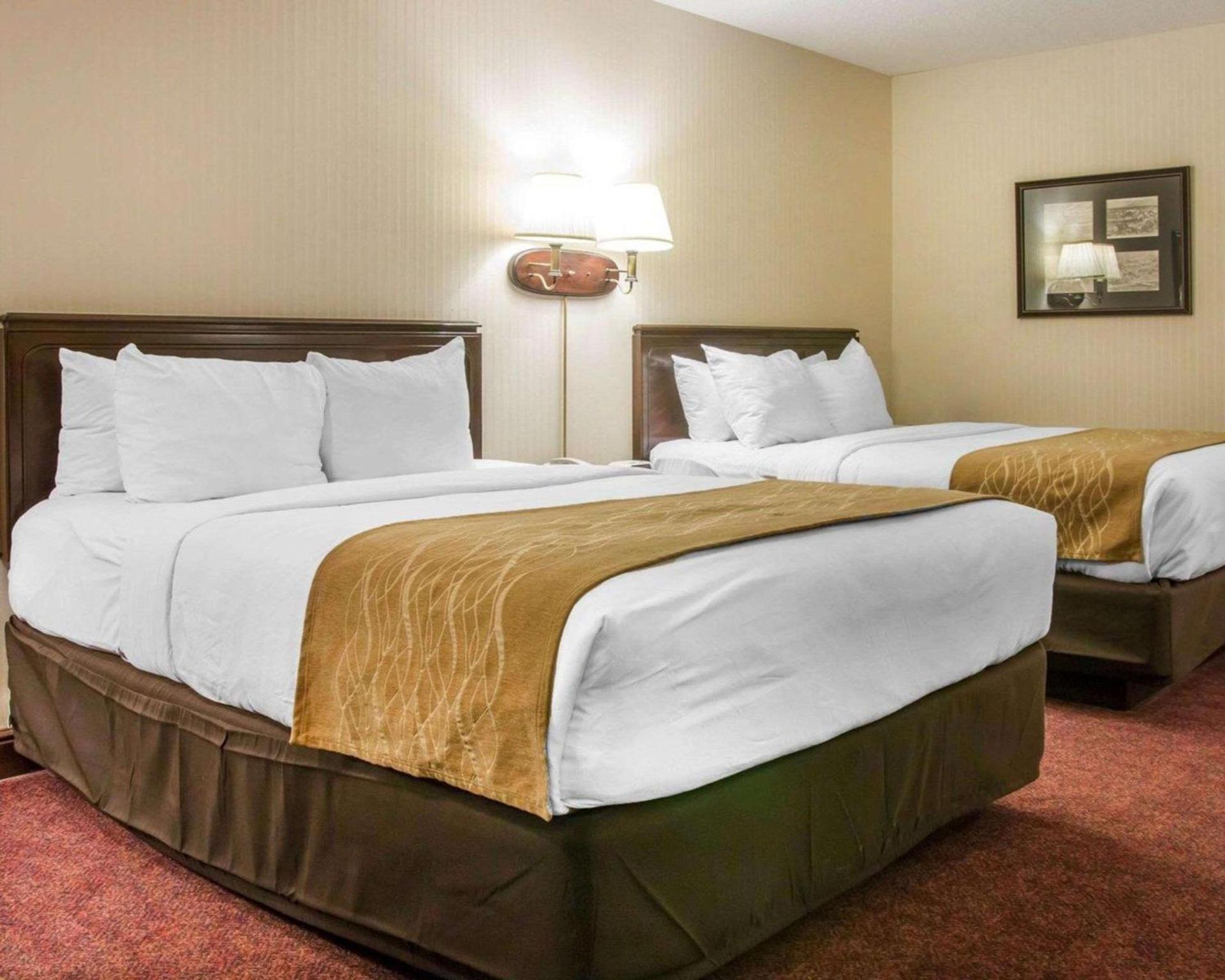 Comfort Inn Lakeside photo 20