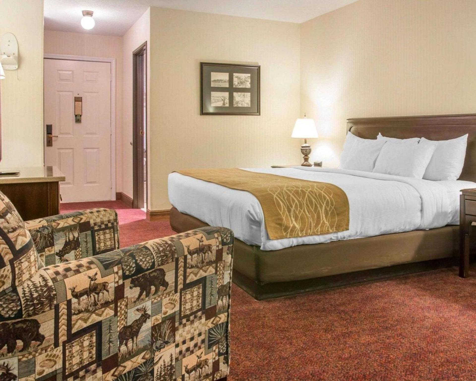 Comfort Inn Lakeside photo 15