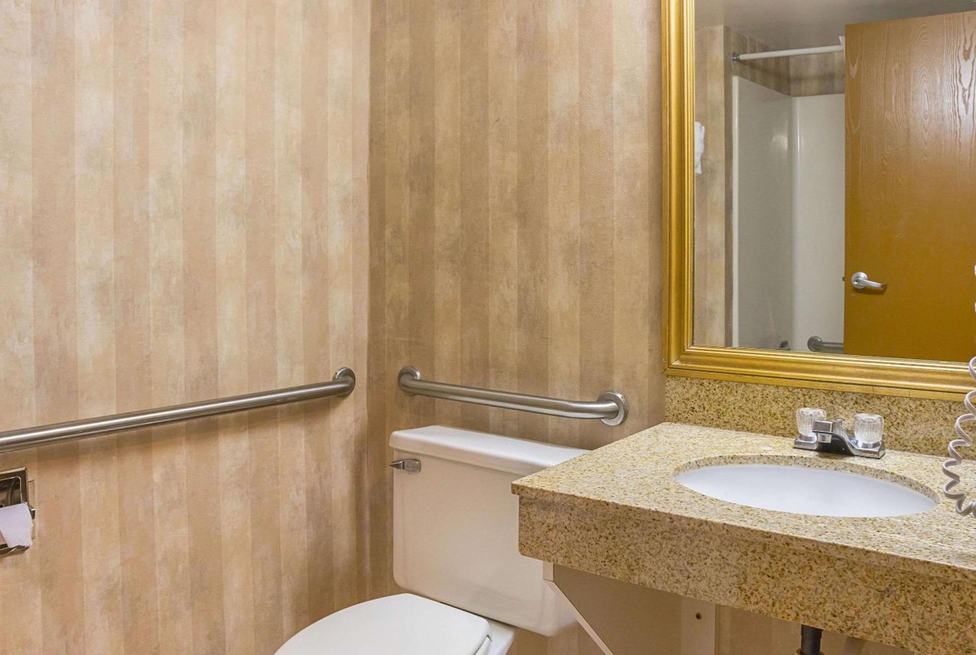 Quality Inn & Suites Detroit Metro Airport photo 9
