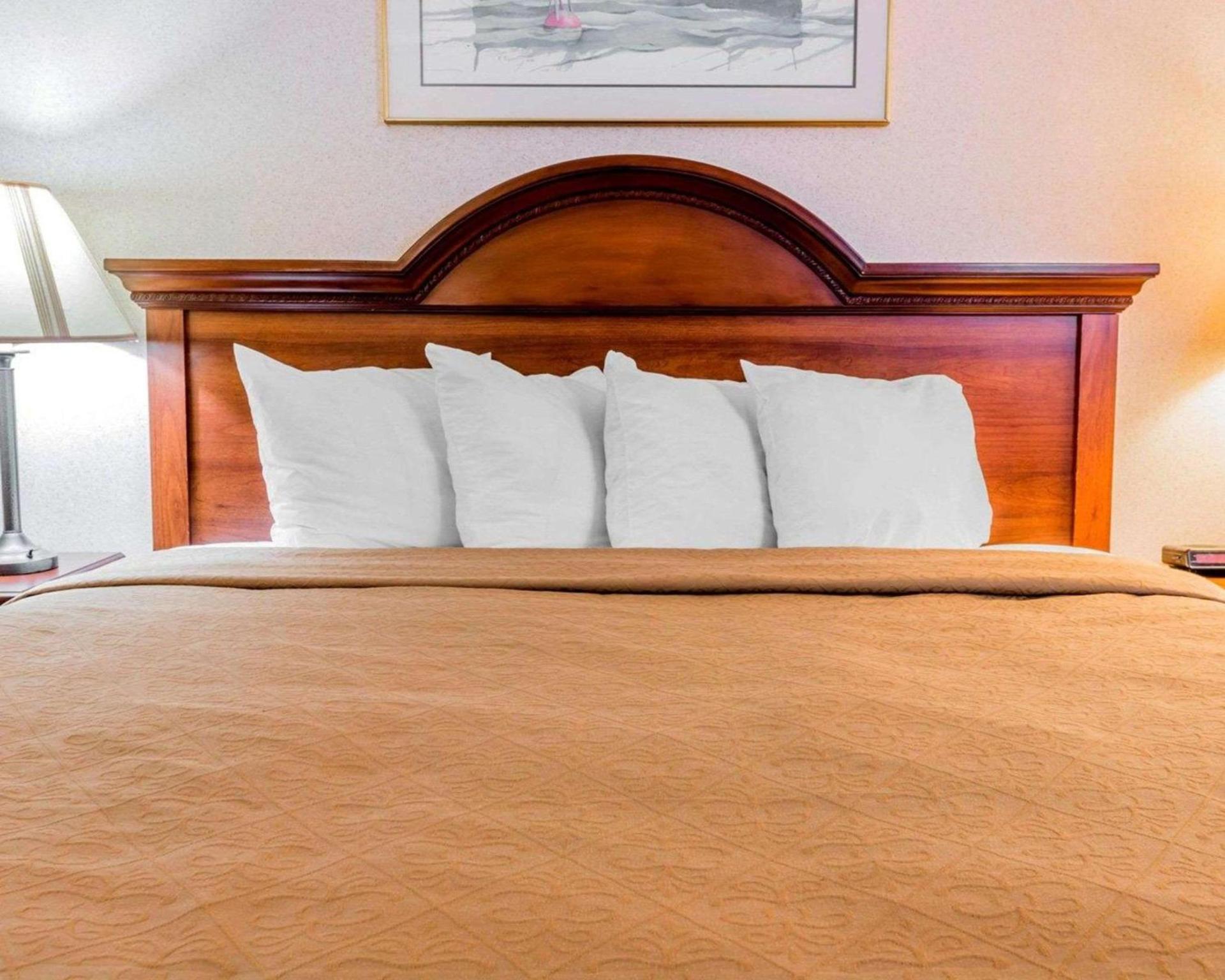 Quality Inn Grand Rapids North photo 4