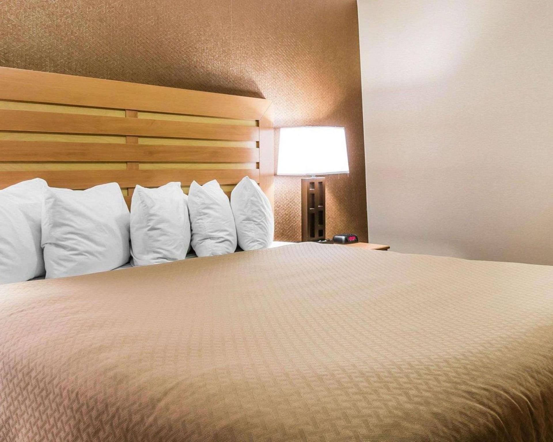 Quality Inn & Suites Warren - Detroit photo 9