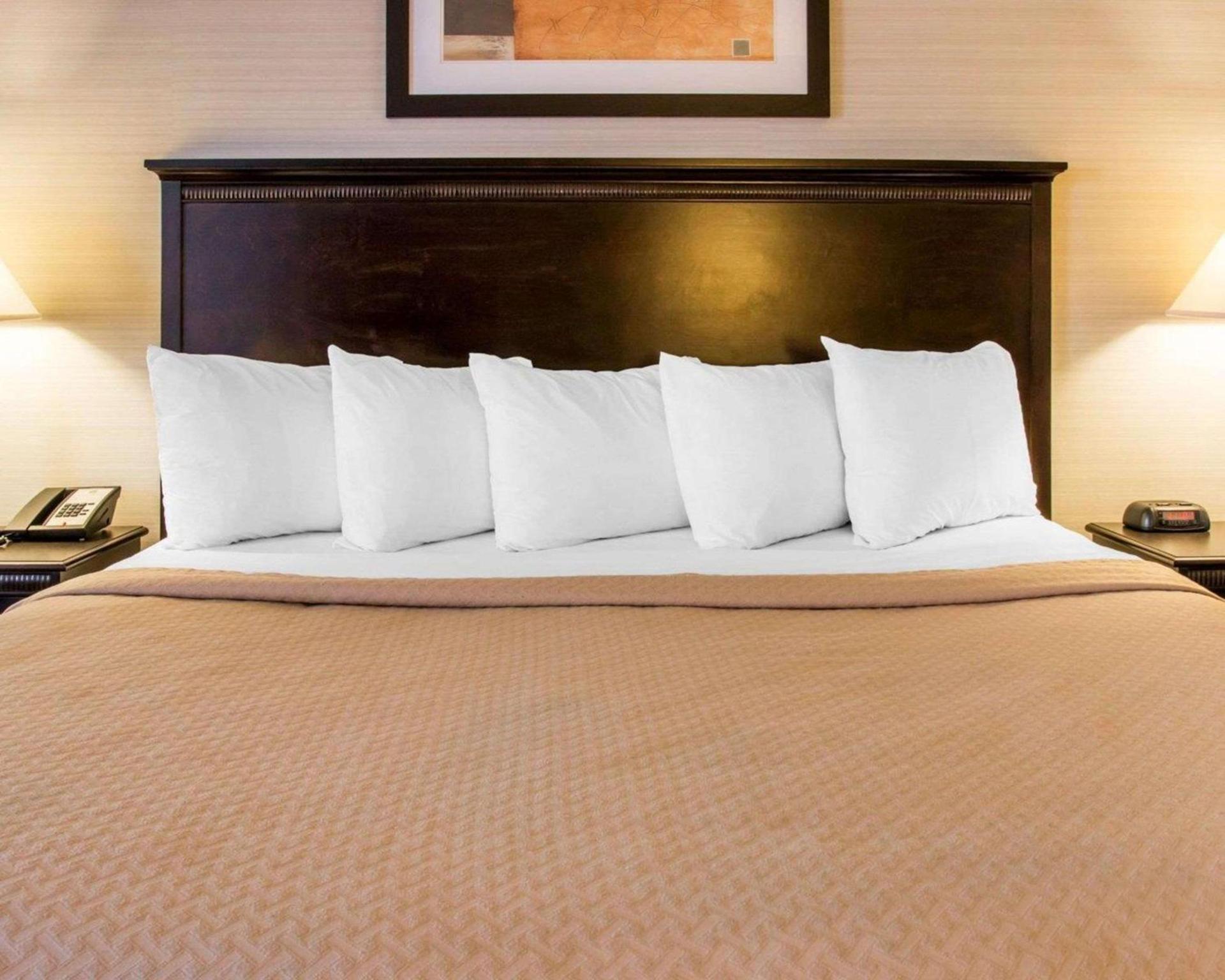 Quality Inn & Suites Next to the Casino photo 16