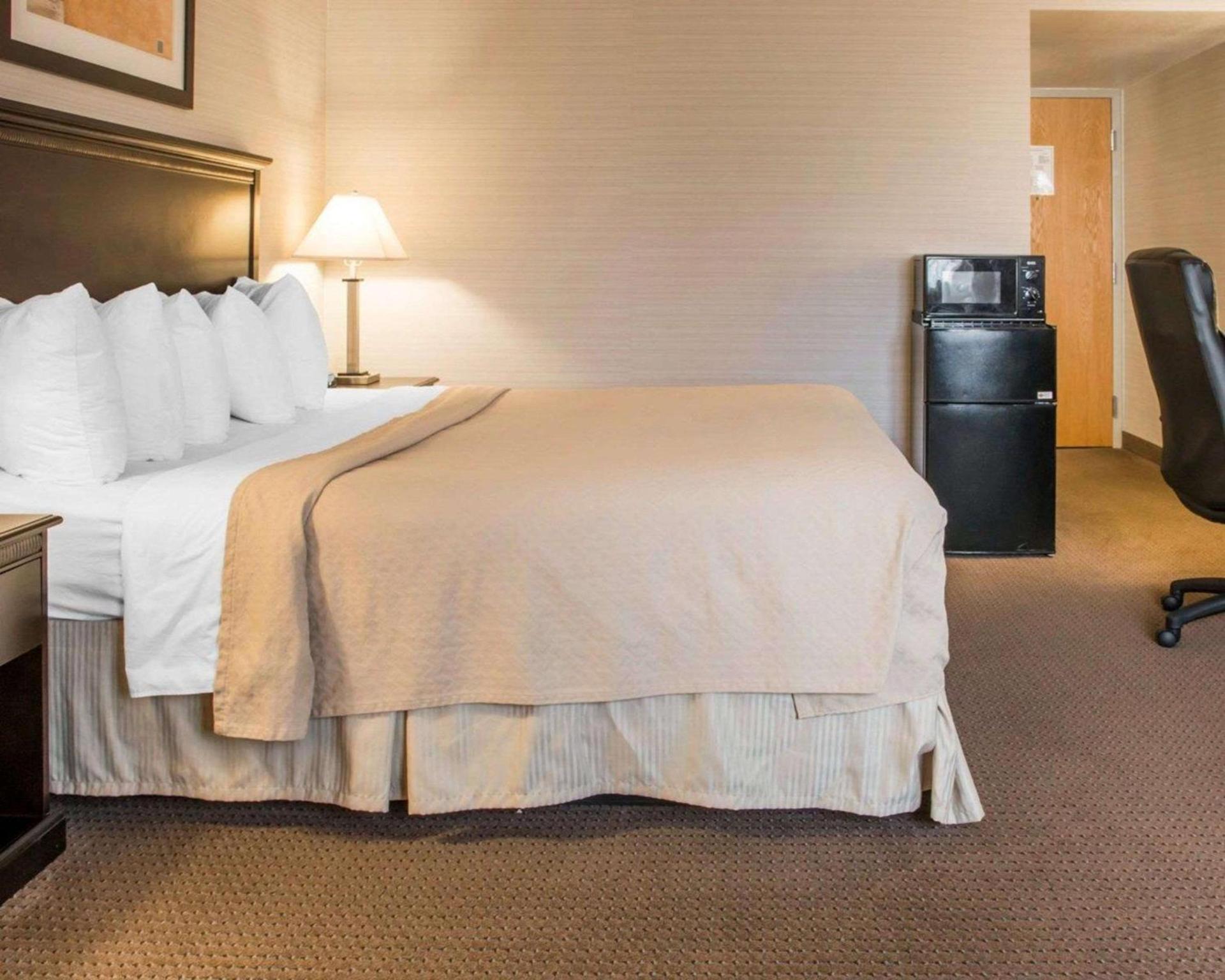 Quality Inn & Suites Next to the Casino photo 28