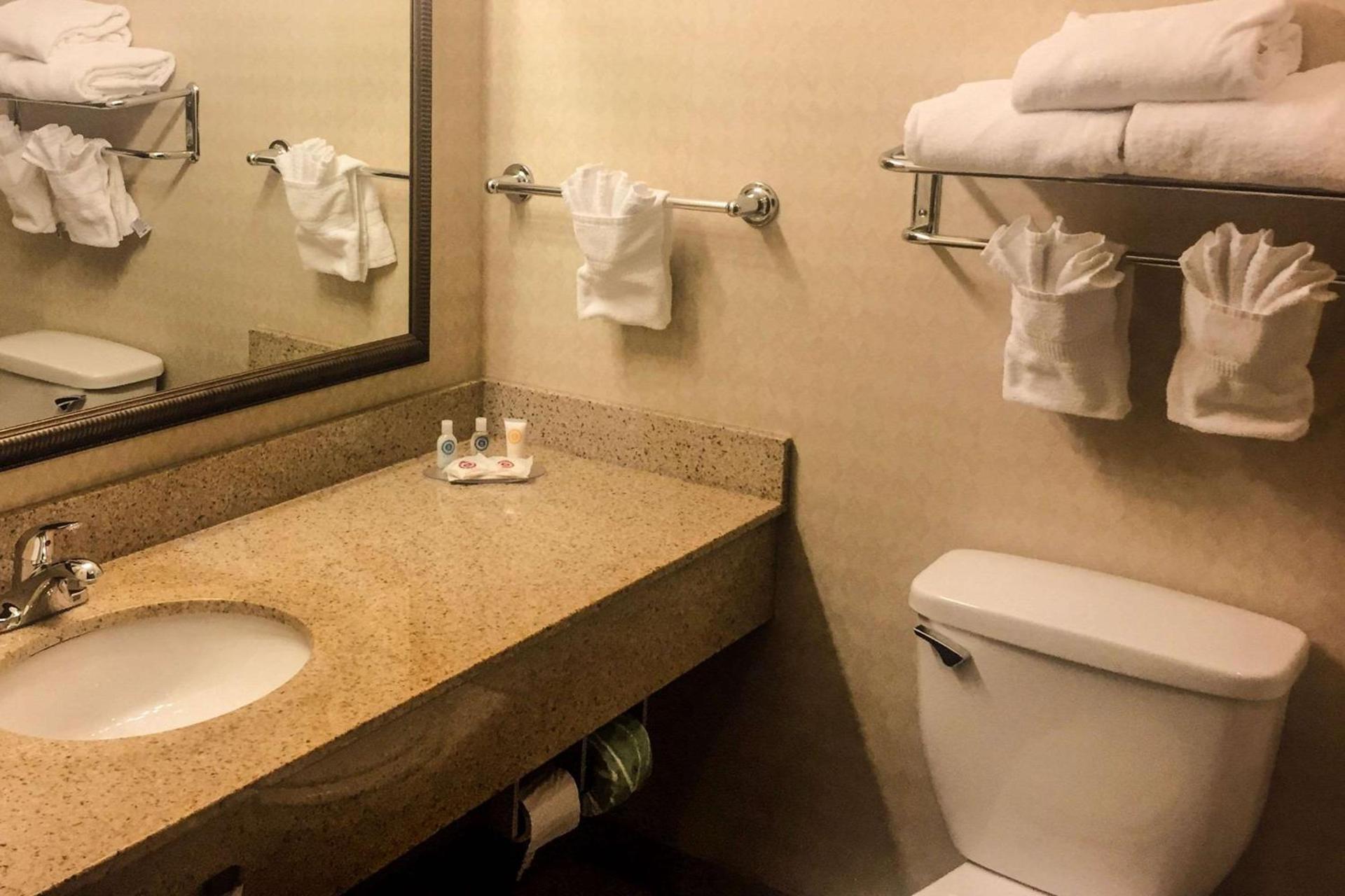 Comfort Inn & Suites Harrisonville photo 25