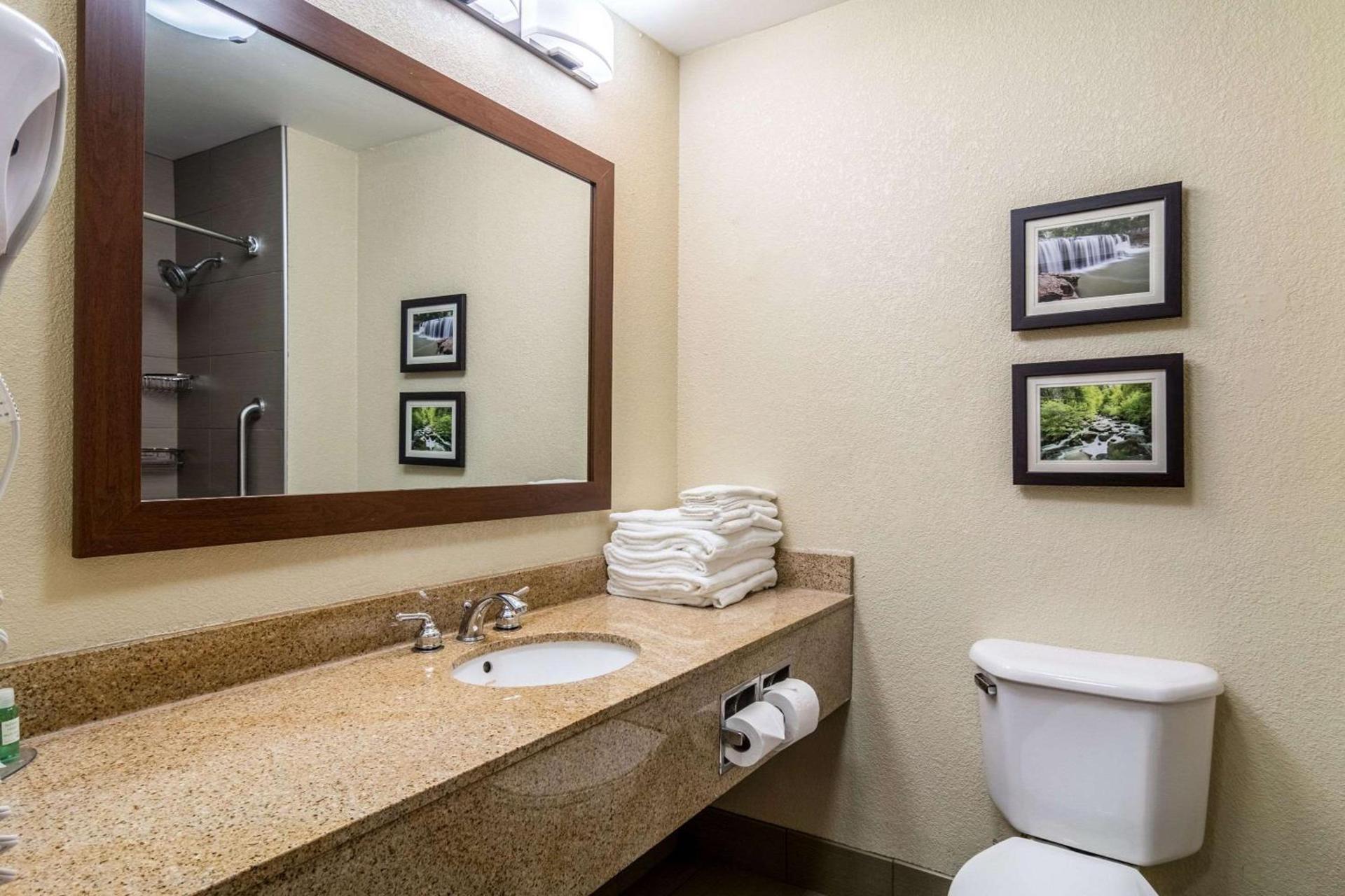 Comfort Inn & Suites - Hannibal photo 27