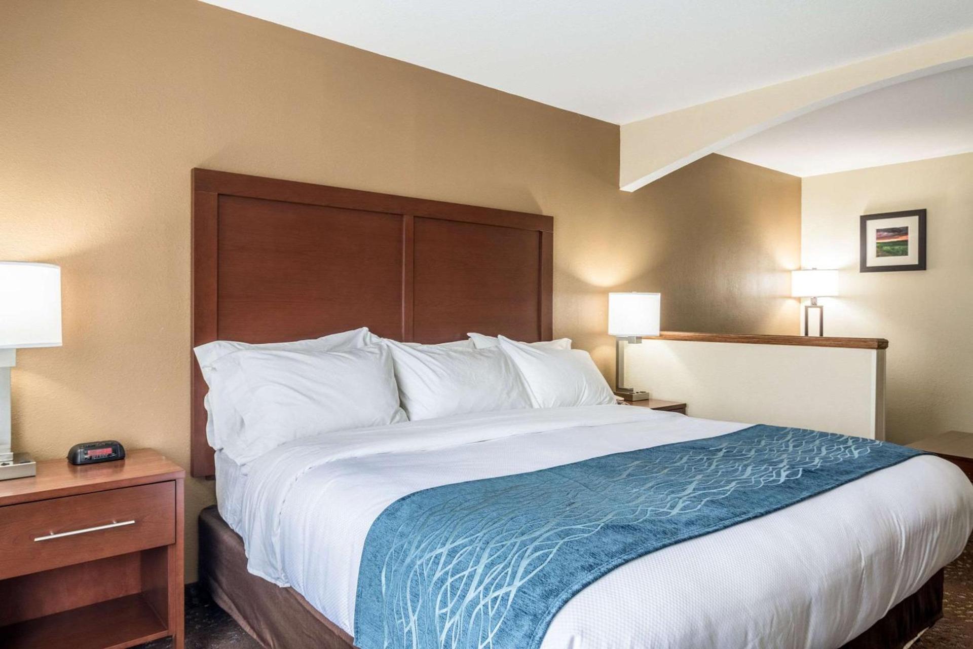 Comfort Inn & Suites - Hannibal photo 24