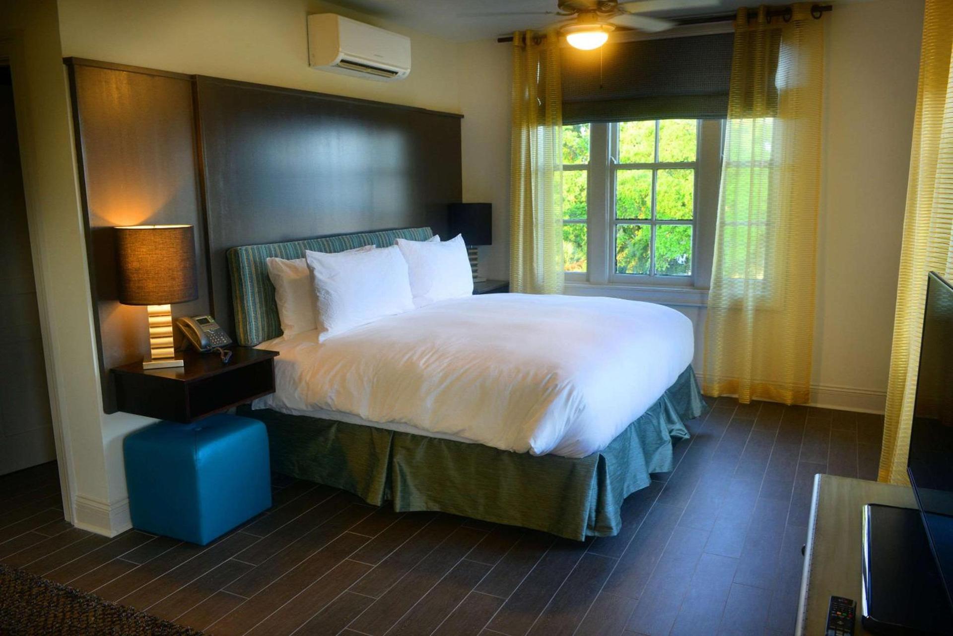 White House Hotel photo 22