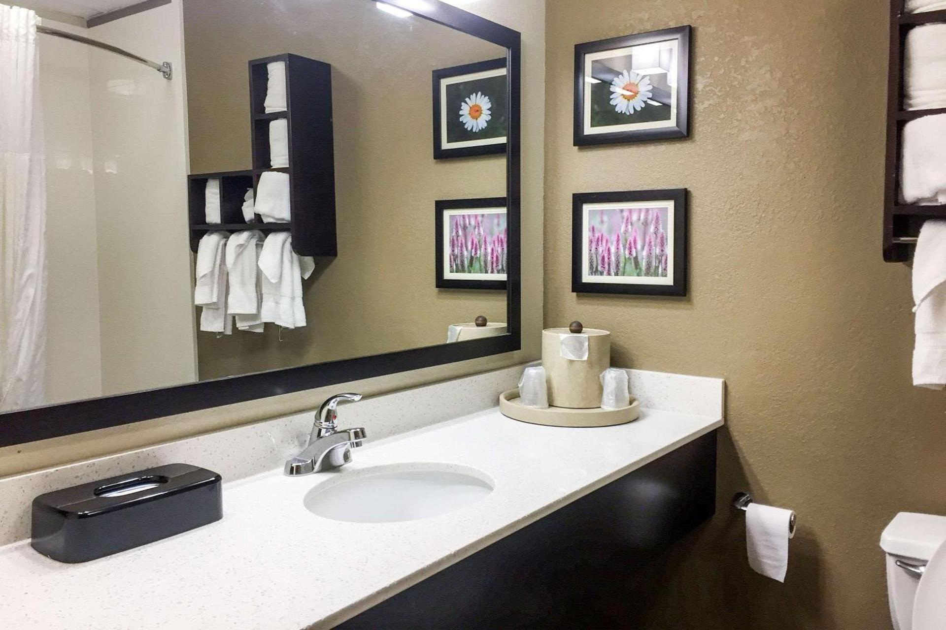 Comfort Suites Regency Park photo 7