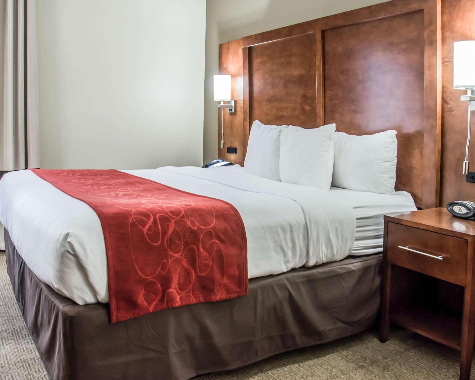 Comfort Suites University - Research Park photo 9