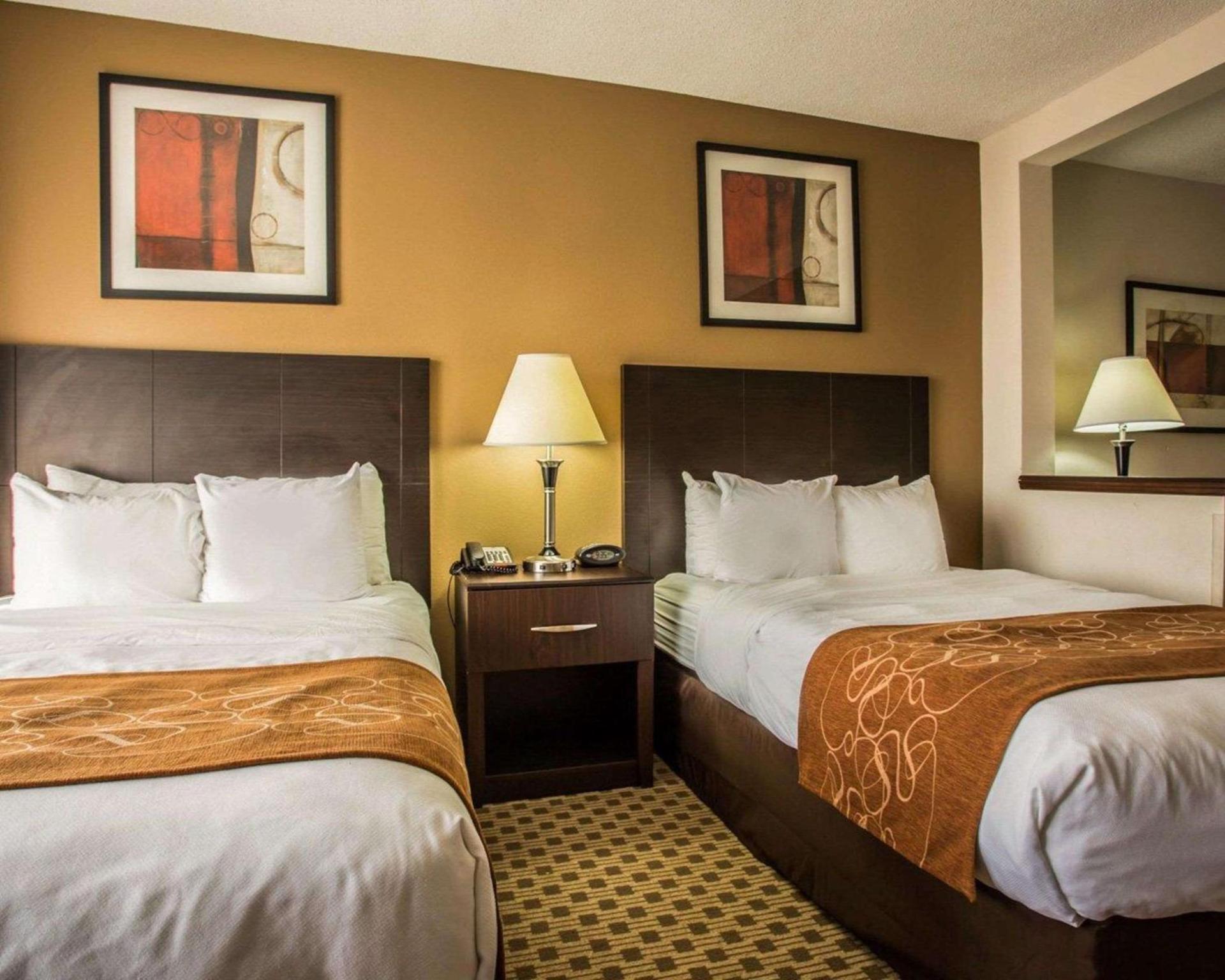 Comfort Suites Lumberton North photo 8