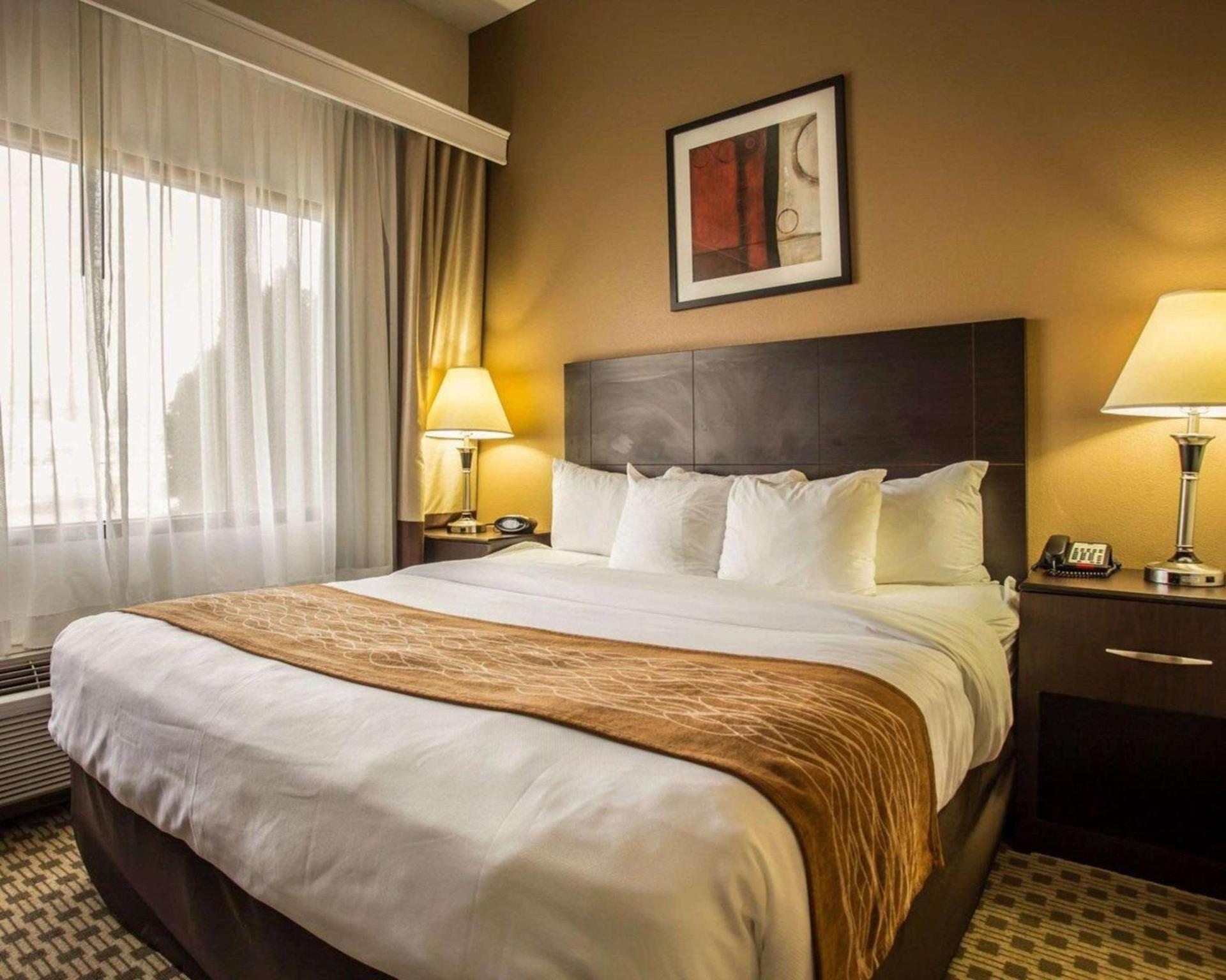 Comfort Suites Lumberton North photo 18