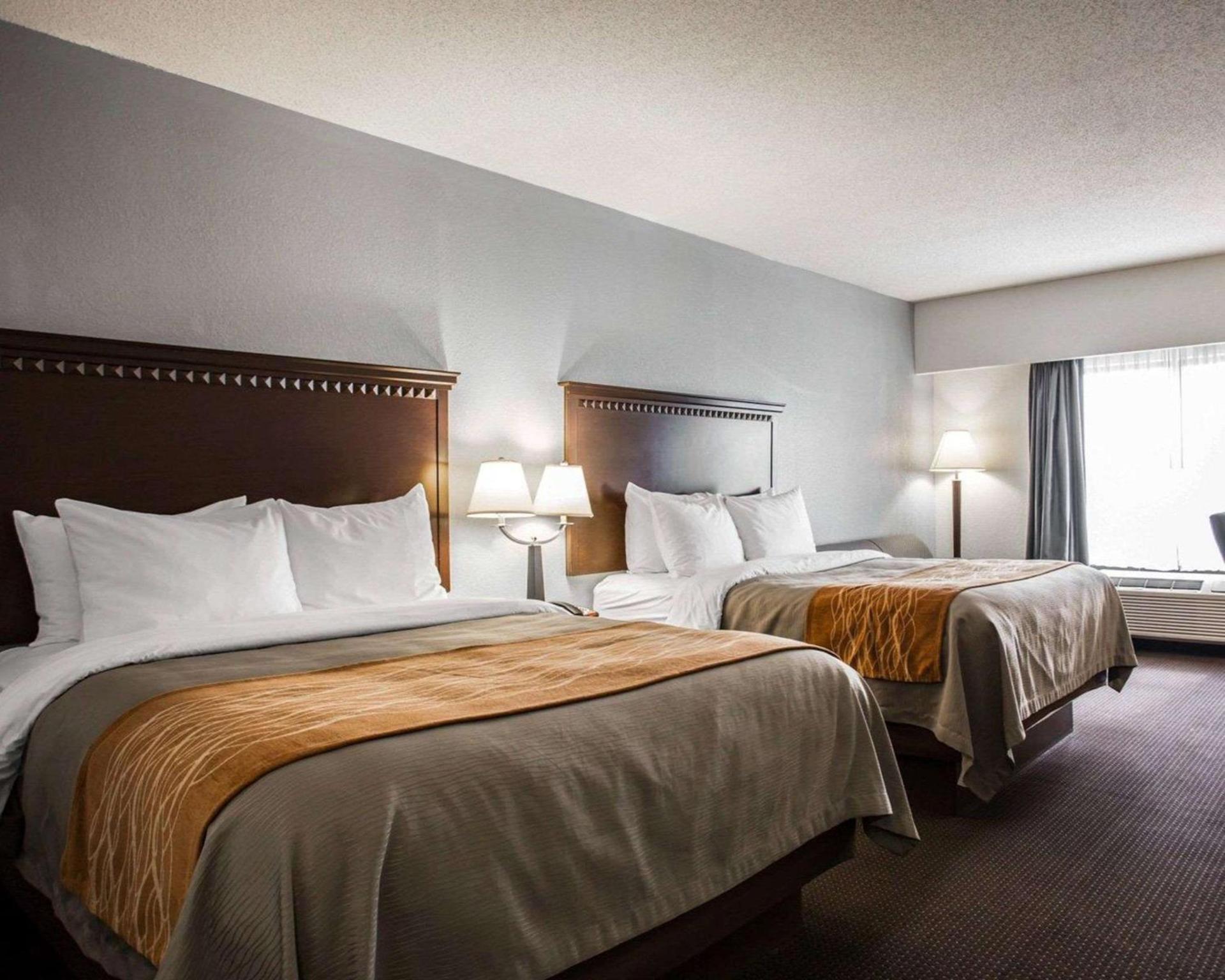 Comfort Inn & Suites Lumberton Central I-95 photo 17