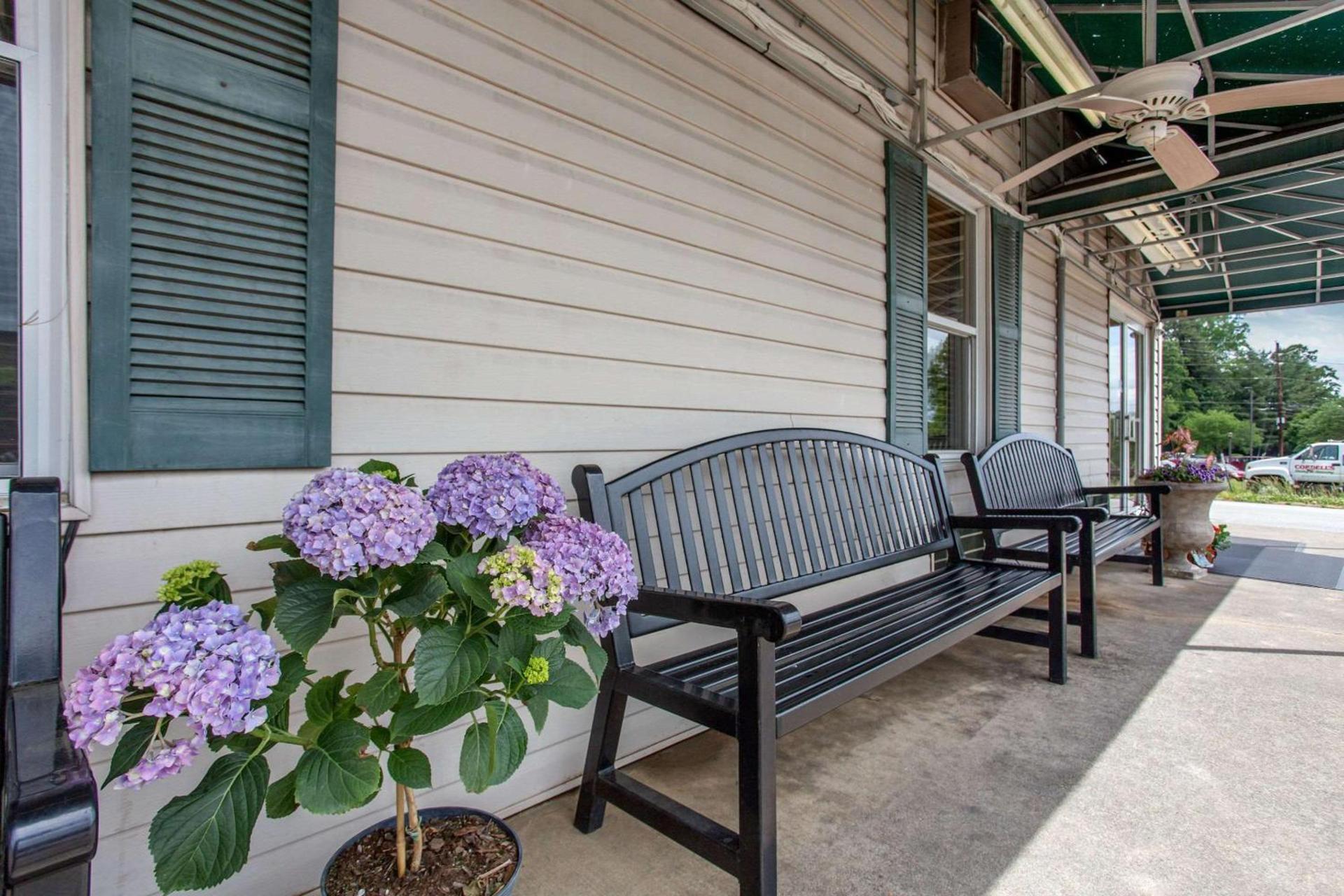 Rodeway Inn Asheville photo 4