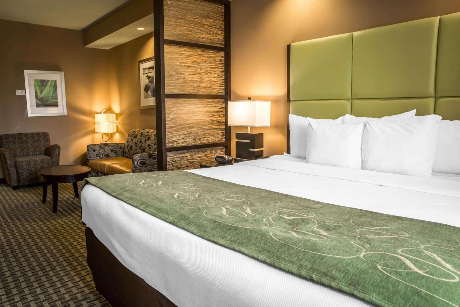 Comfort Suites New Bern near Cherry Point photo 16