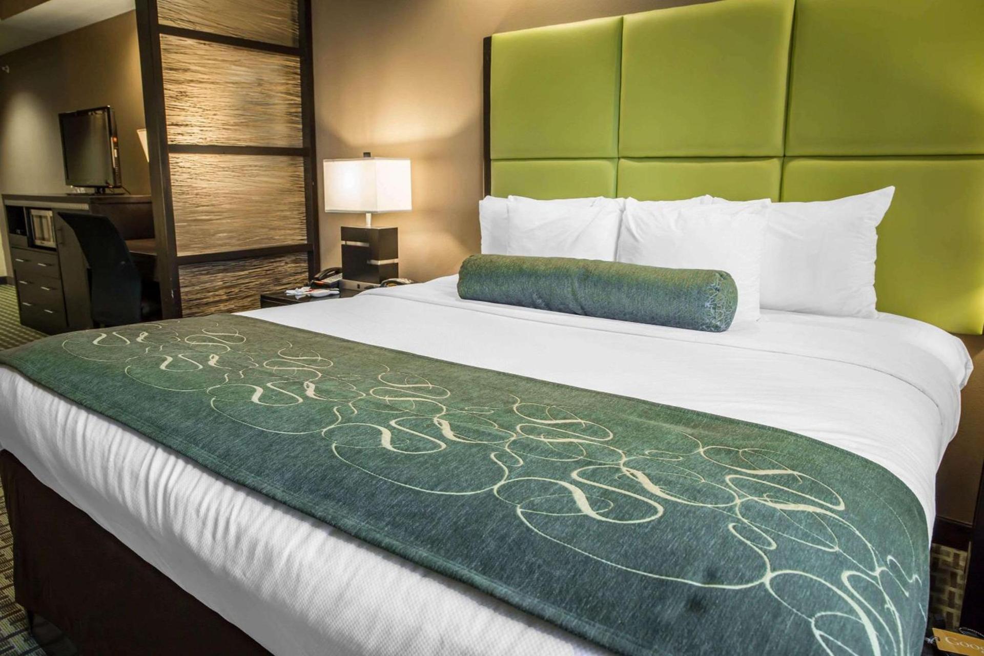 Comfort Suites New Bern near Cherry Point photo 8