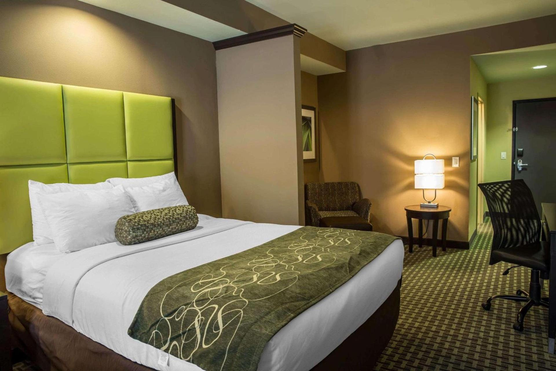 Comfort Suites New Bern near Cherry Point photo 9