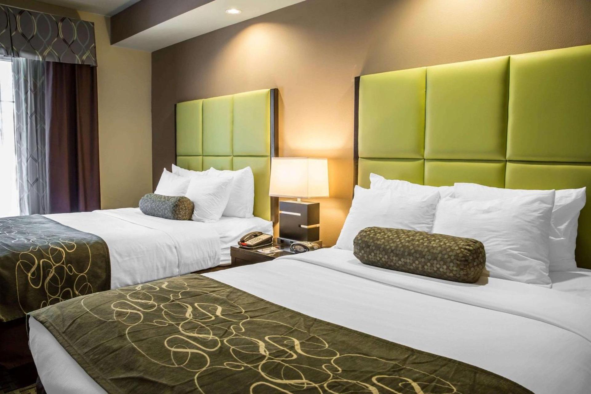 Comfort Suites New Bern near Cherry Point photo 11