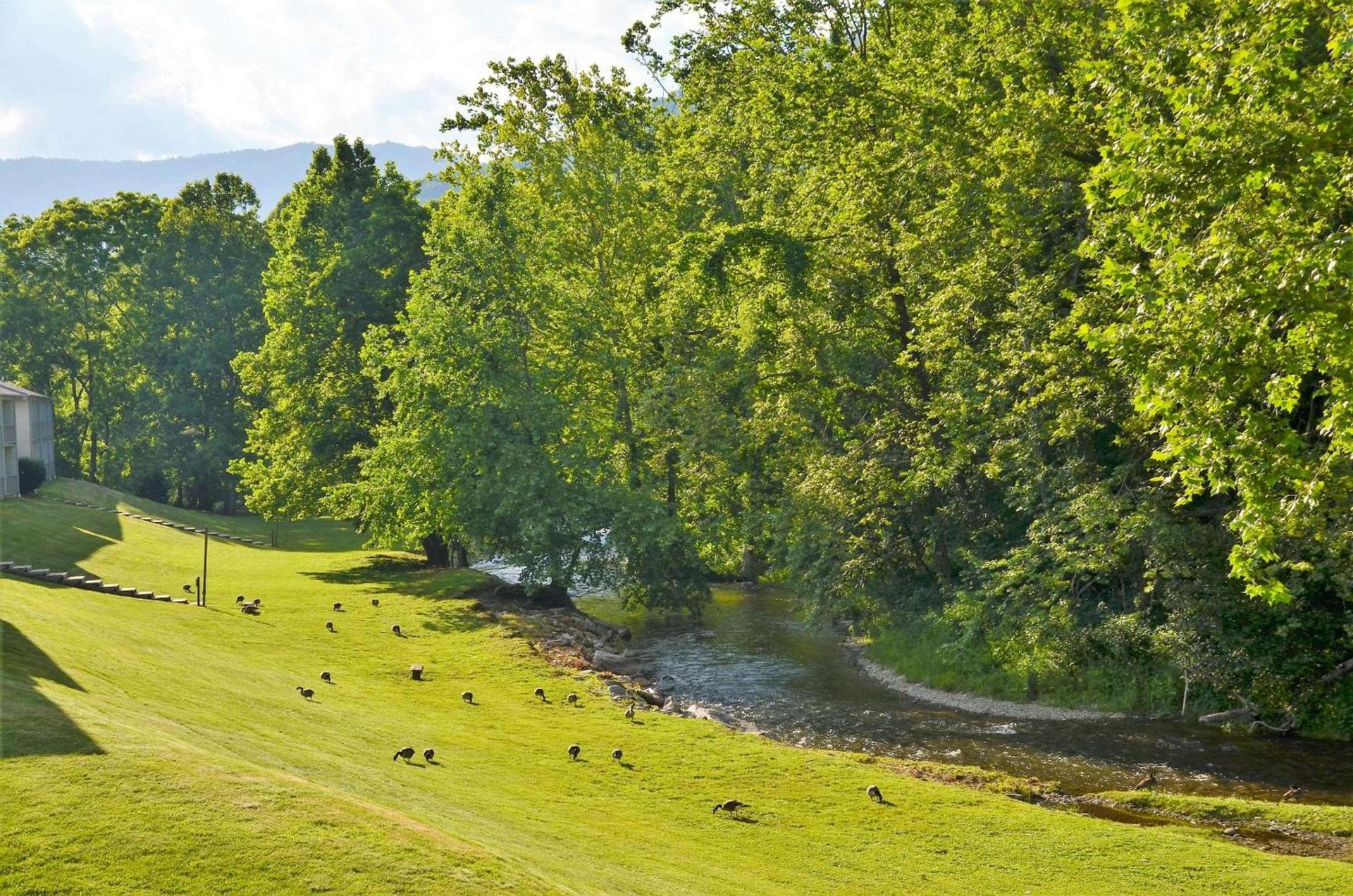 Quality Inn Cherokee Riverside photo 20