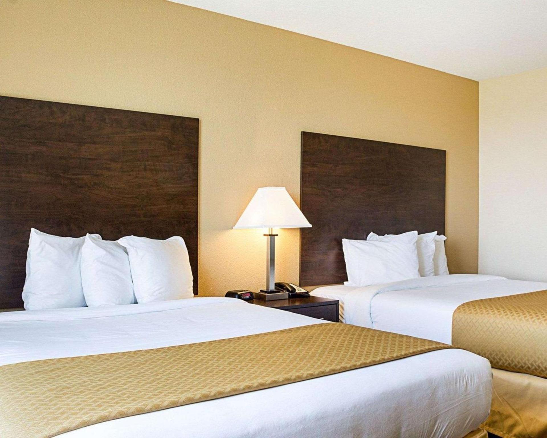 Quality Inn & Suites Minot North photo 11
