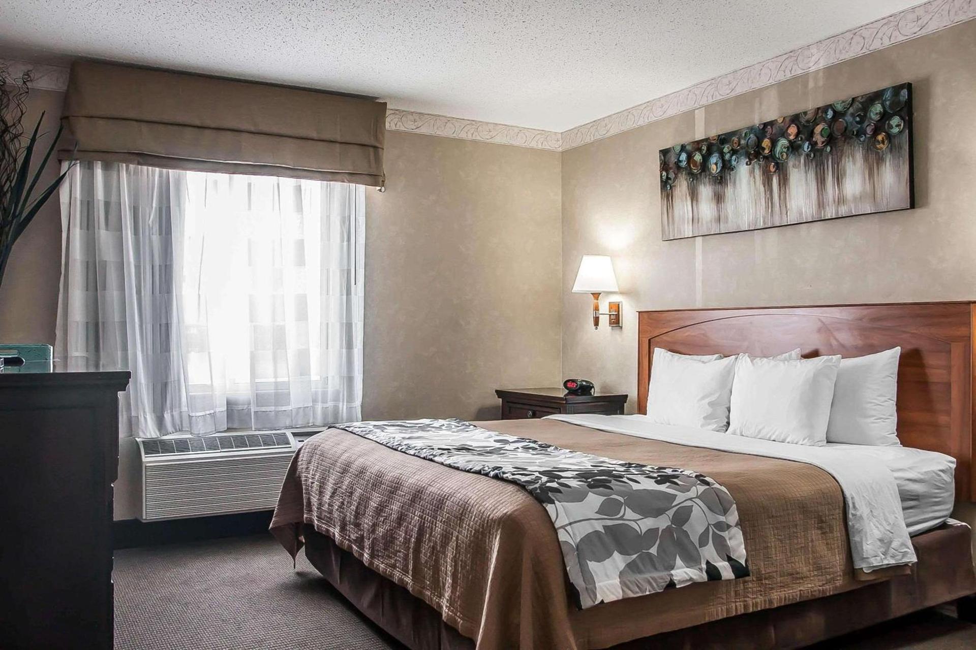 Sleep Inn & Suites Conference Center and Water Park photo 9