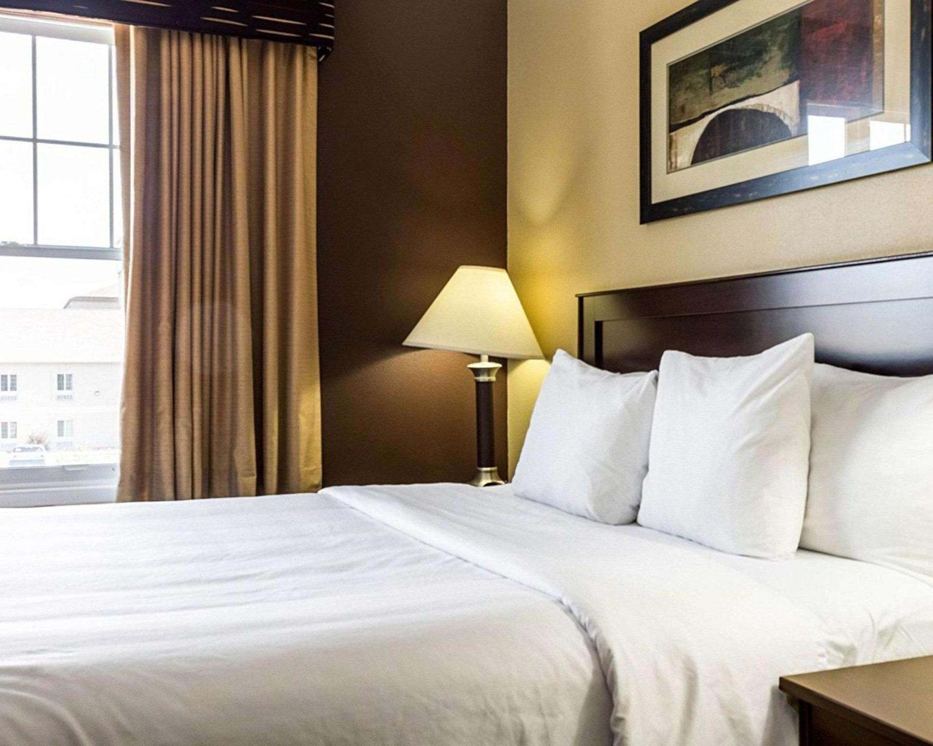 MainStay Suites Minot photo 8