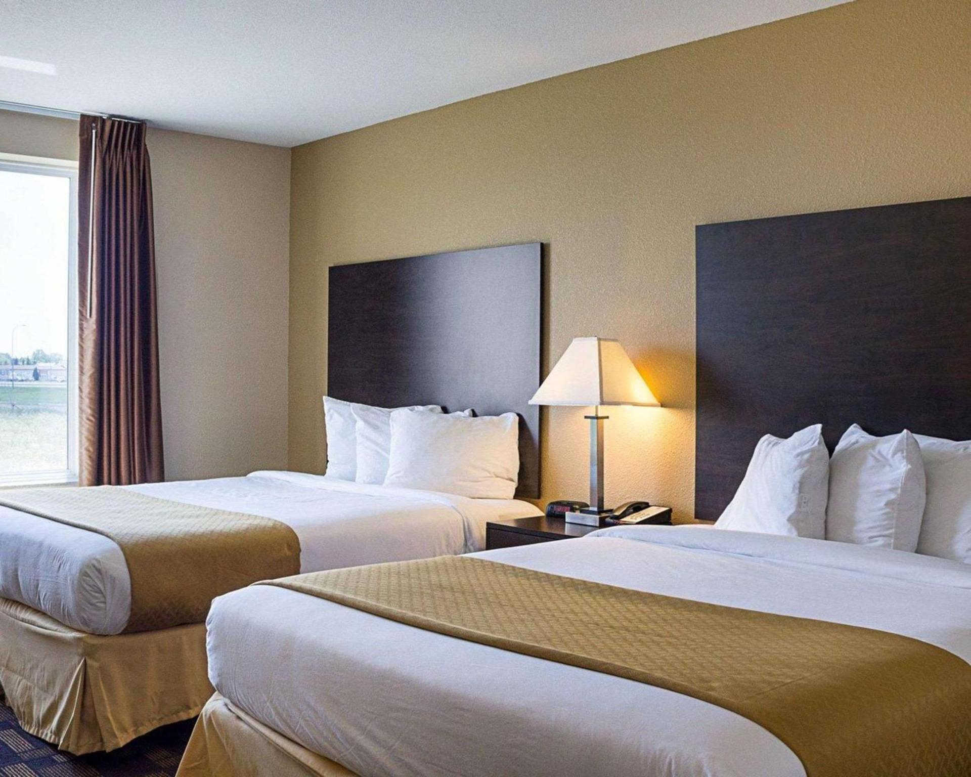 Quality Inn & Suites Minot North photo 10