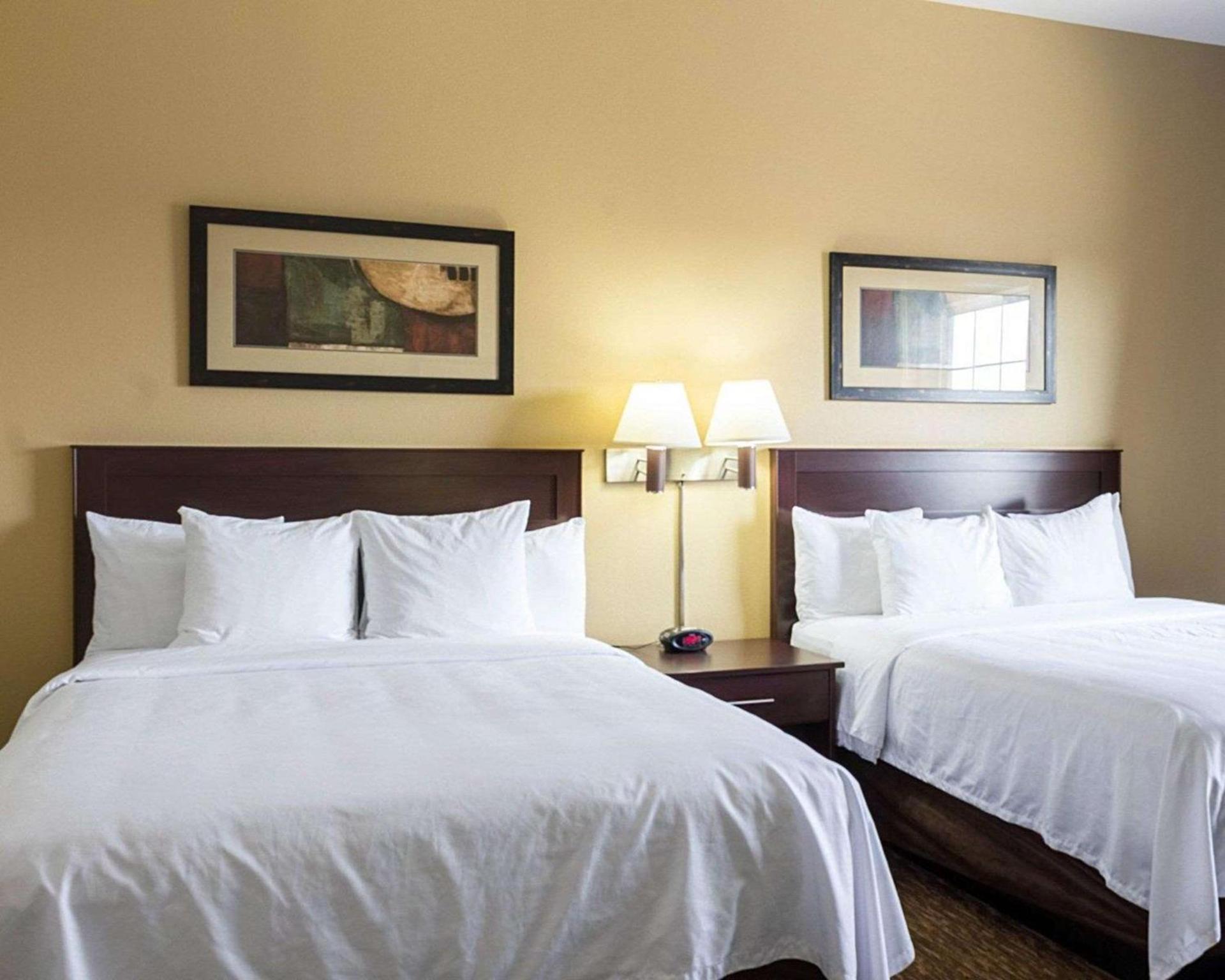 MainStay Suites Minot photo 25