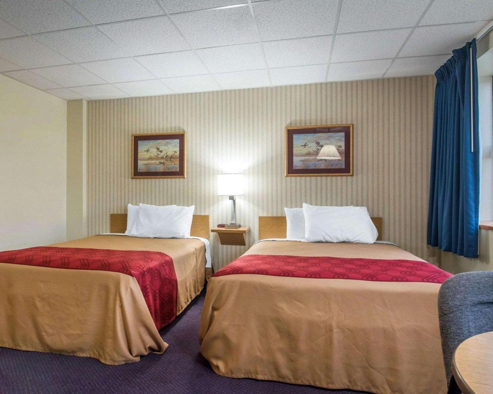 Econo Lodge Manchester photo 23