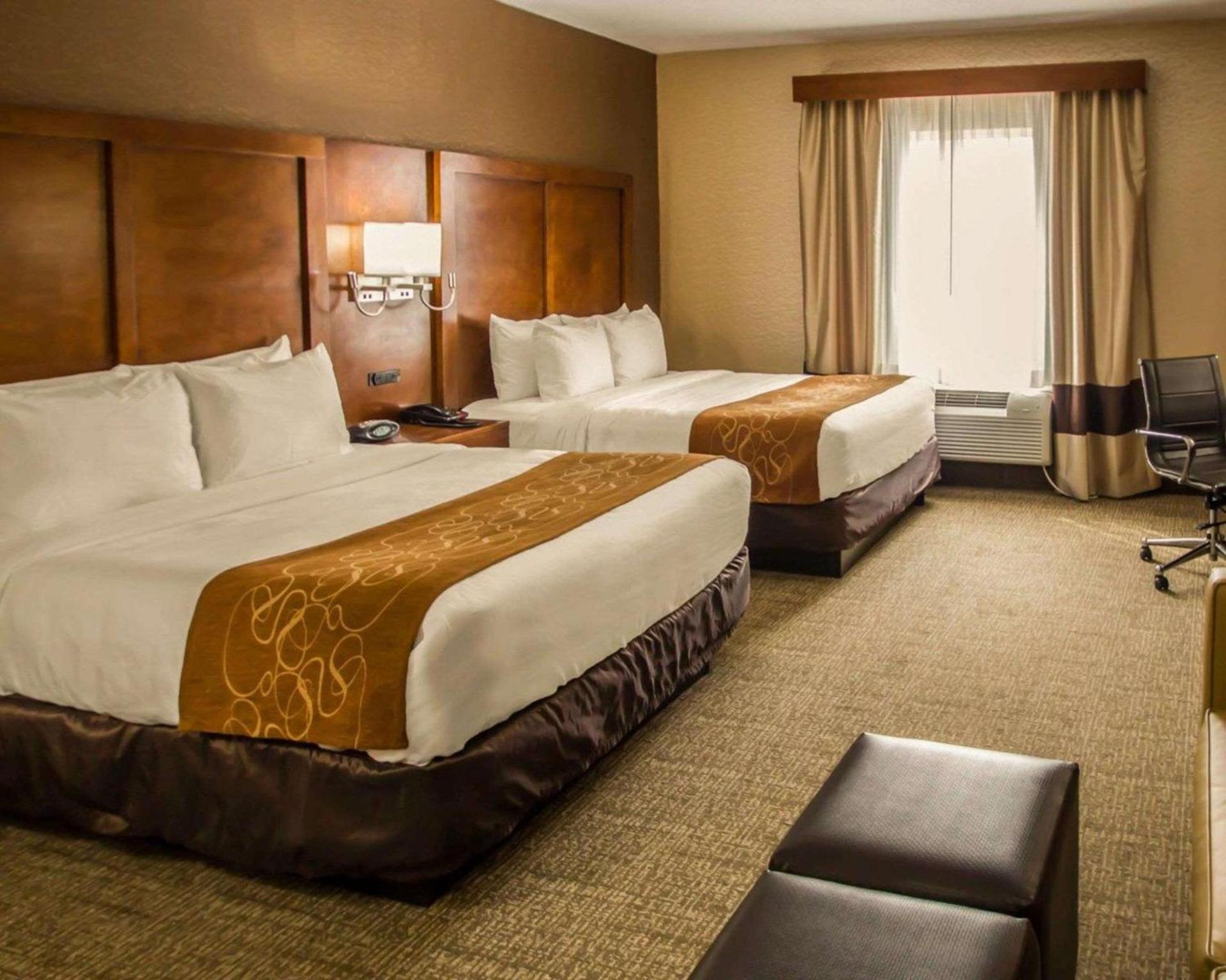 Quality Suites NYC Gateway photo 23