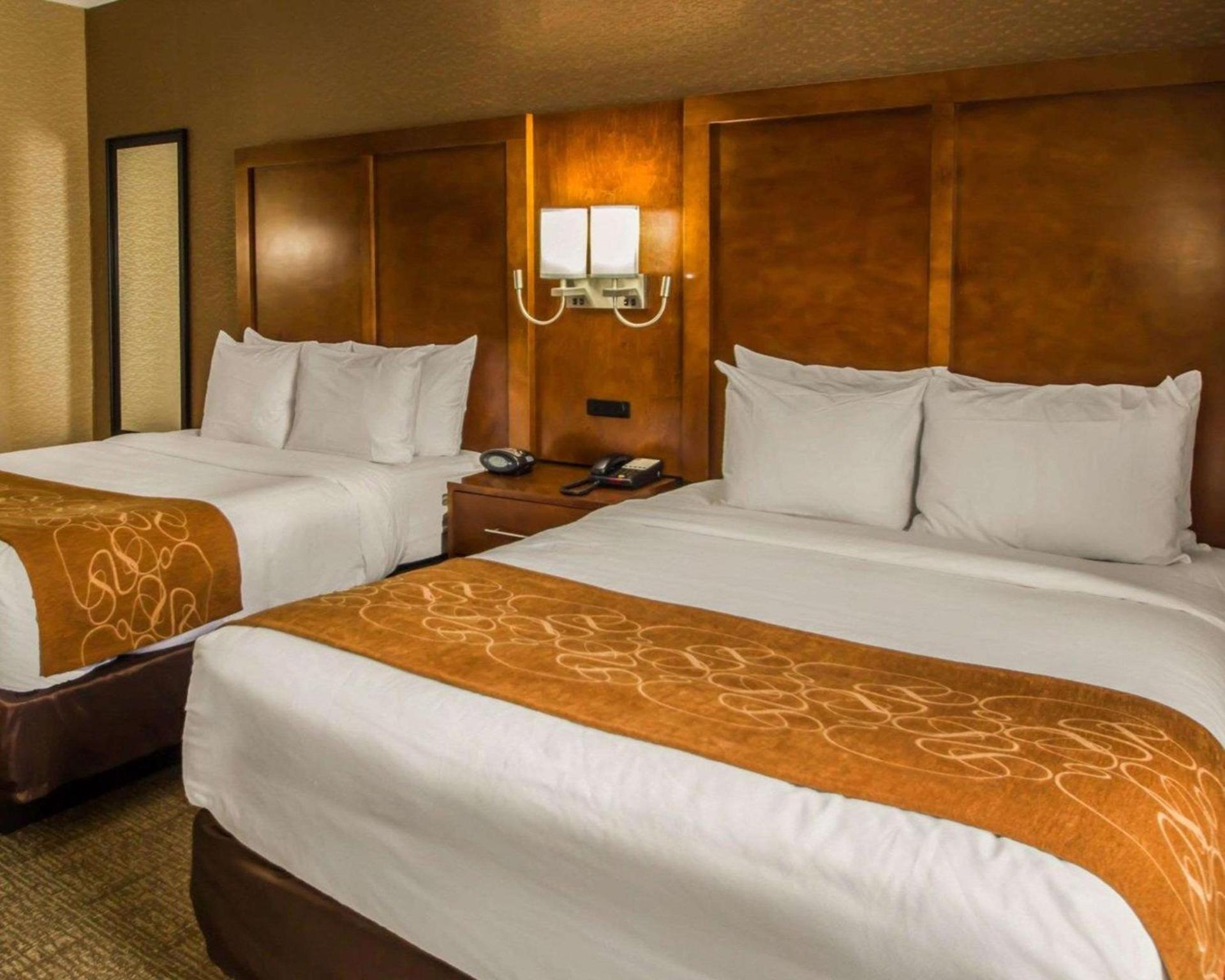 Quality Suites NYC Gateway photo 32