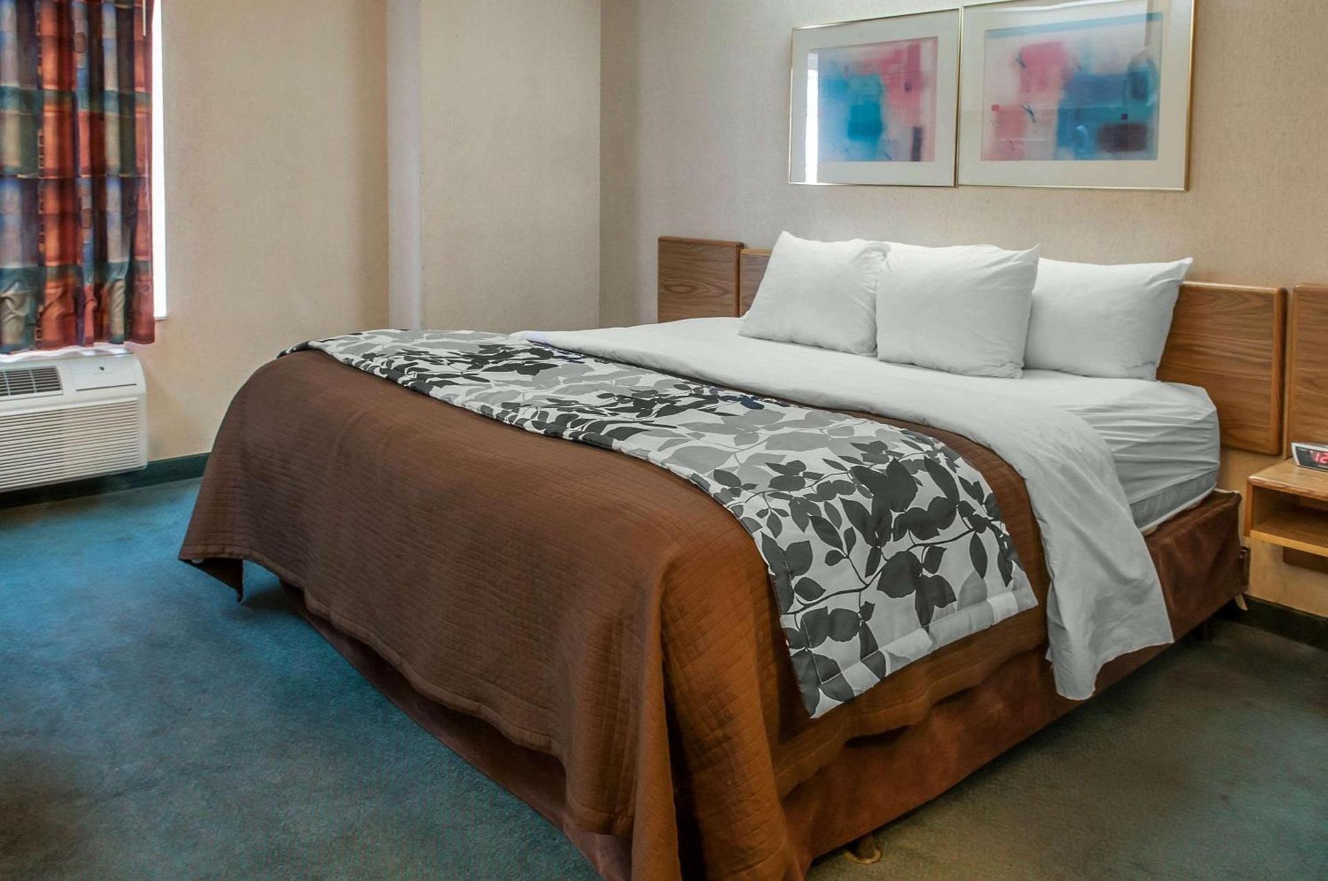 Sleep Inn University photo 7