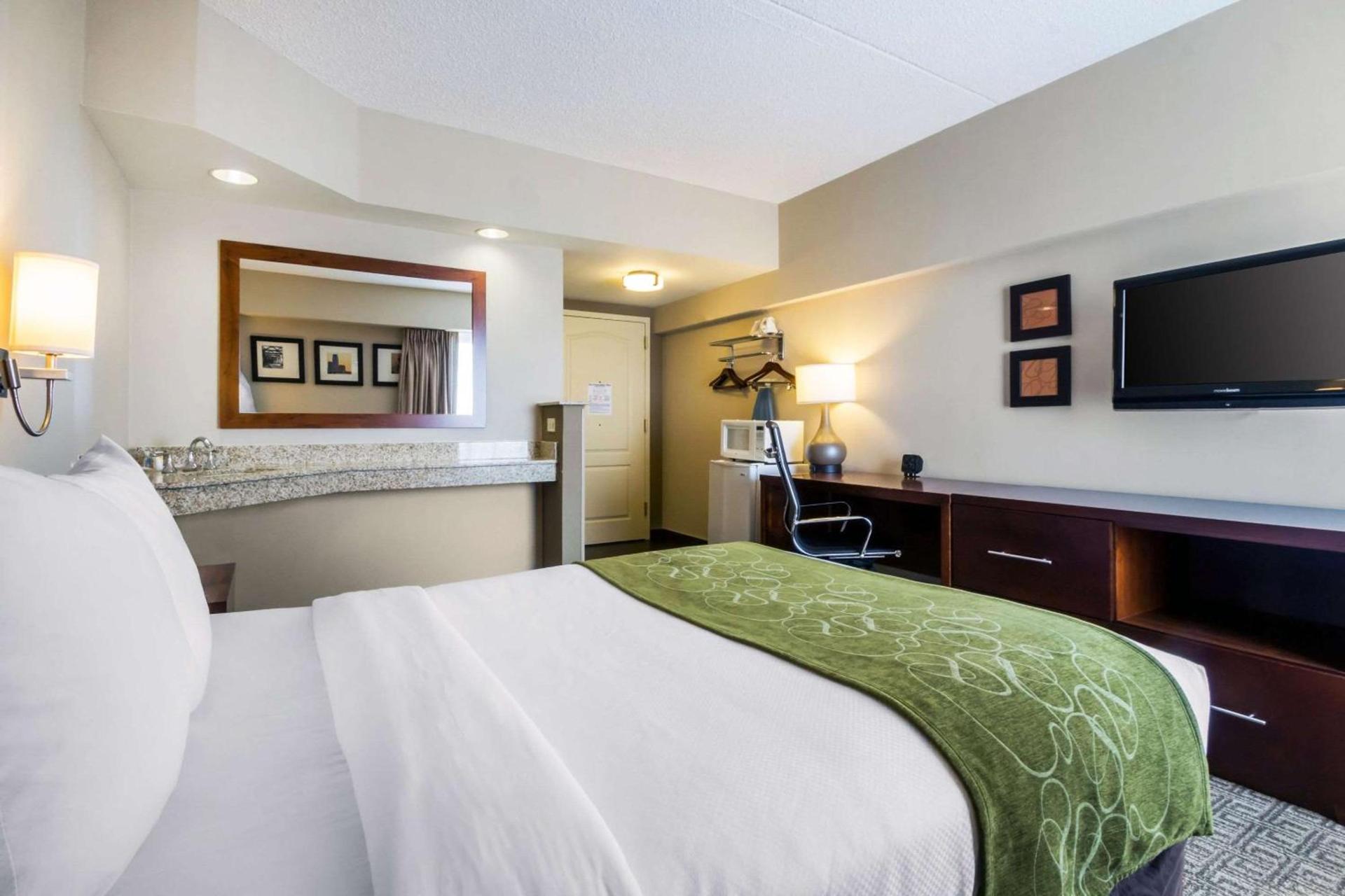 Comfort Suites at Woodbridge photo 16