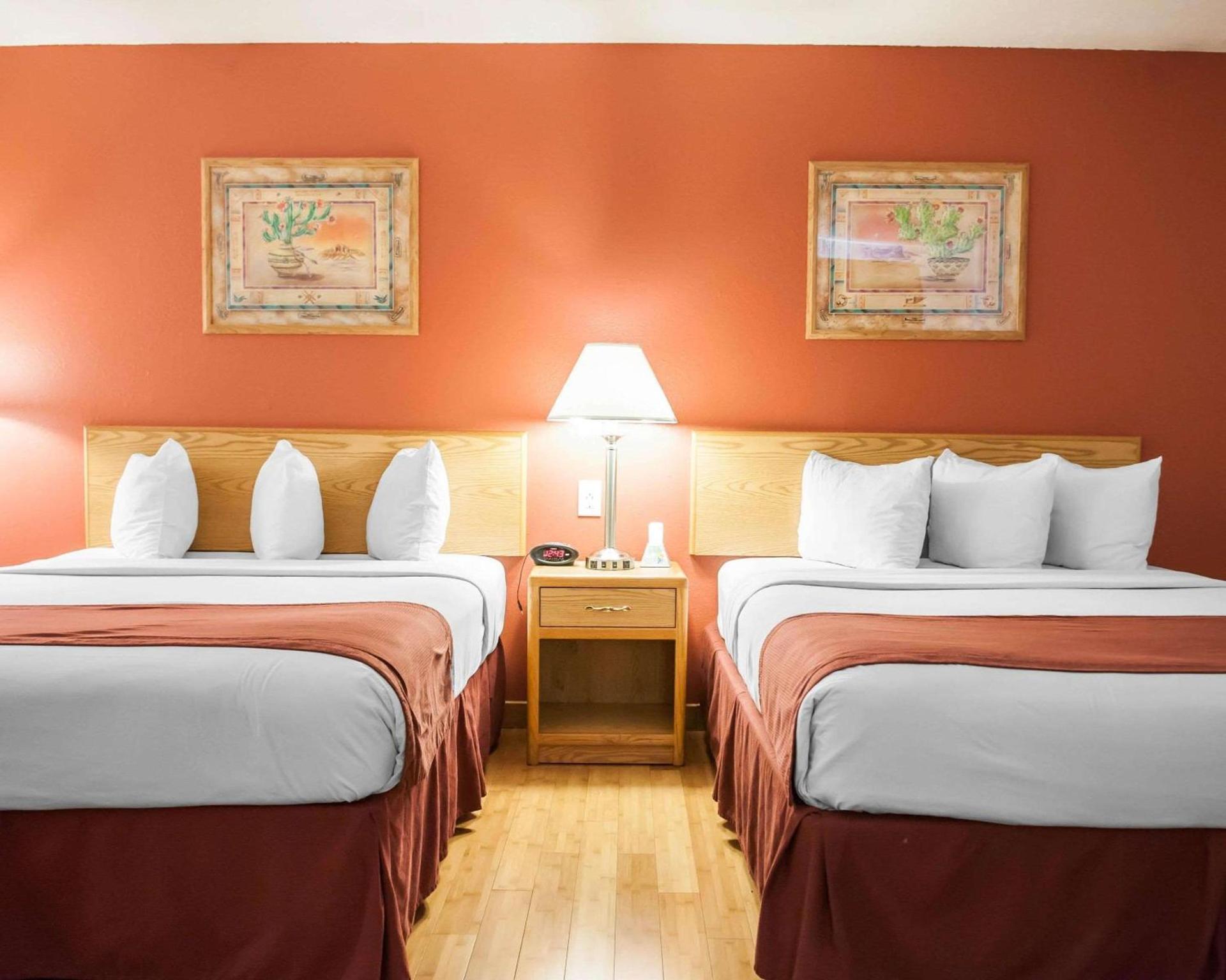 Econo Lodge Albuquerque Old Town photo 6