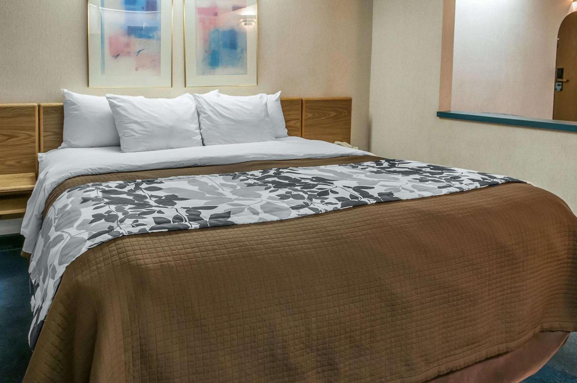 Sleep Inn University photo 14