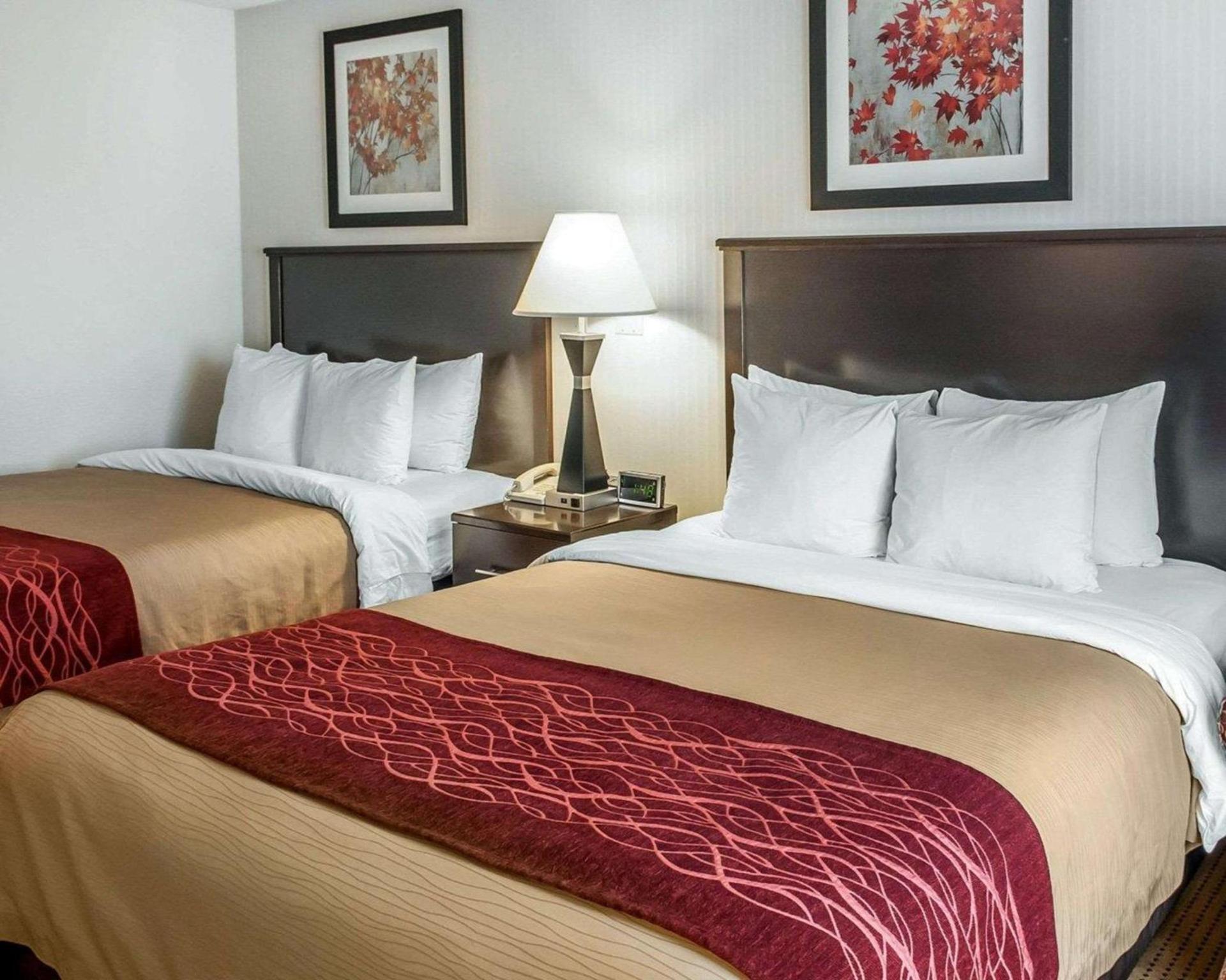 Quality Inn & Suites Farmington photo 14