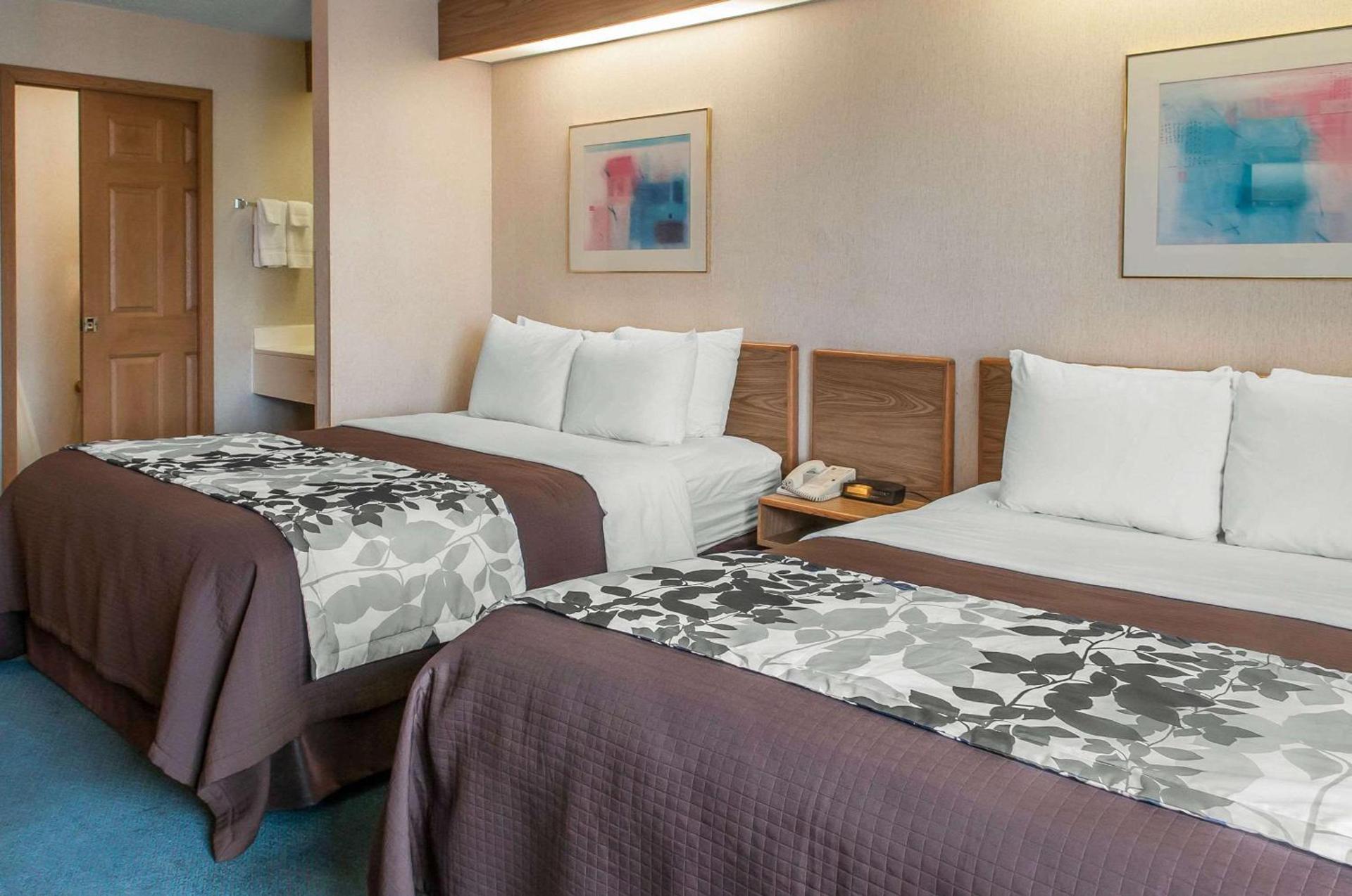 Sleep Inn University photo 10