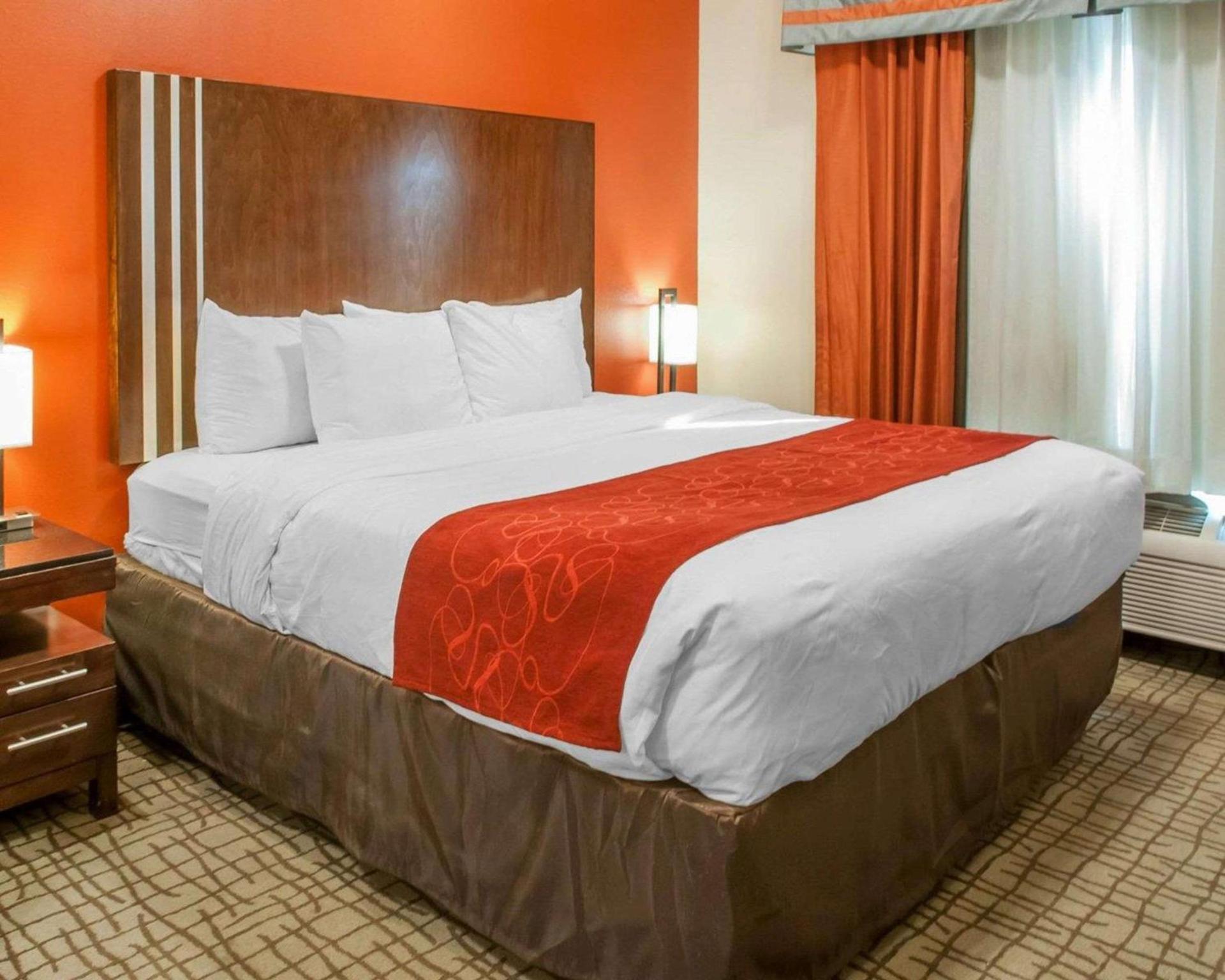 Comfort Suites Roswell North photo 16