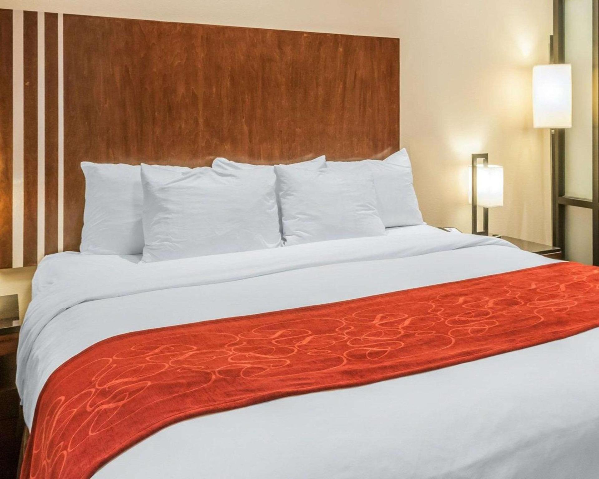 Comfort Suites Roswell North photo 18
