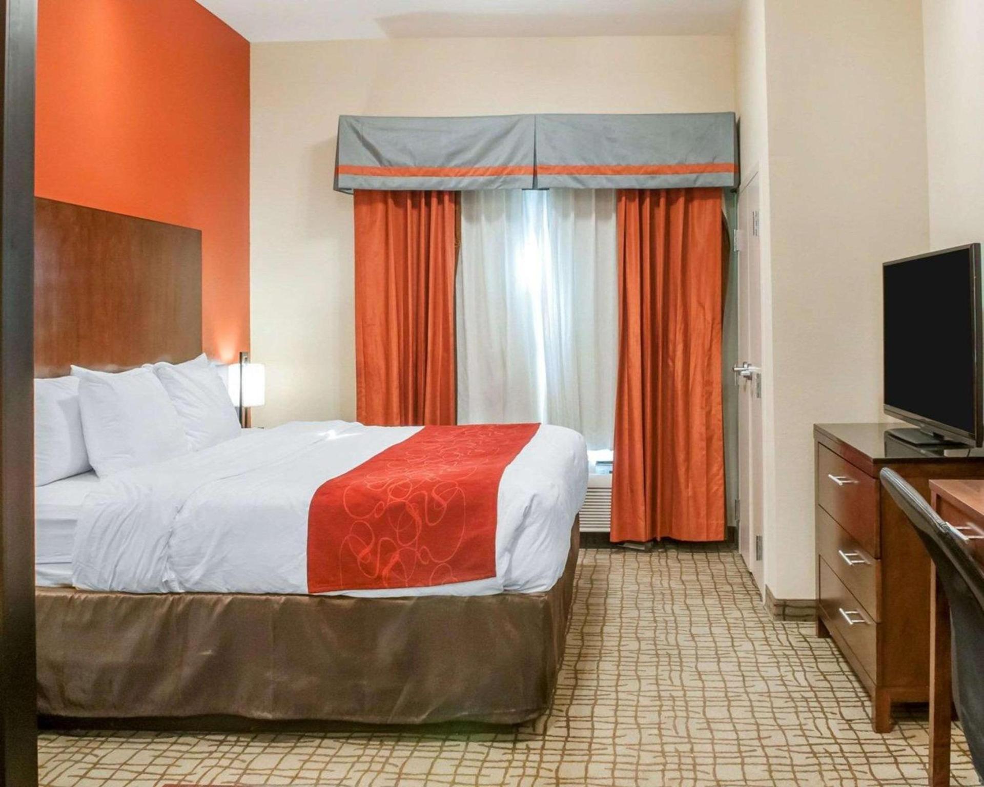 Comfort Suites Roswell North photo 17