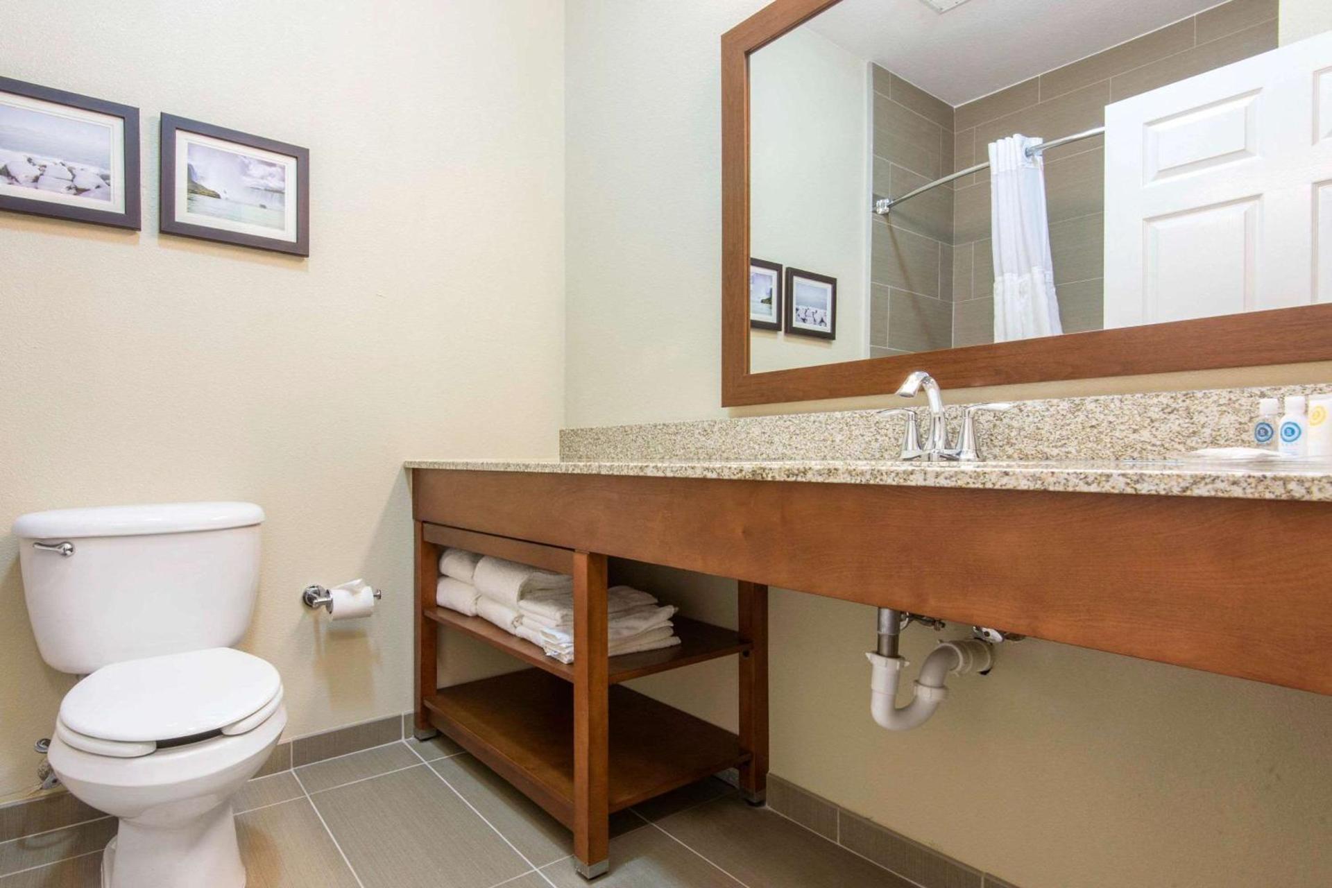Comfort Suites Rochester Henrietta University Area photo 13