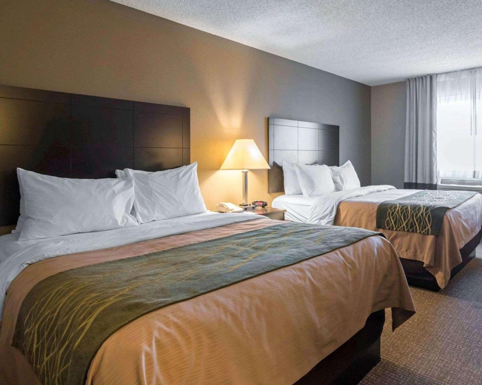Comfort Inn Saugerties photo 6