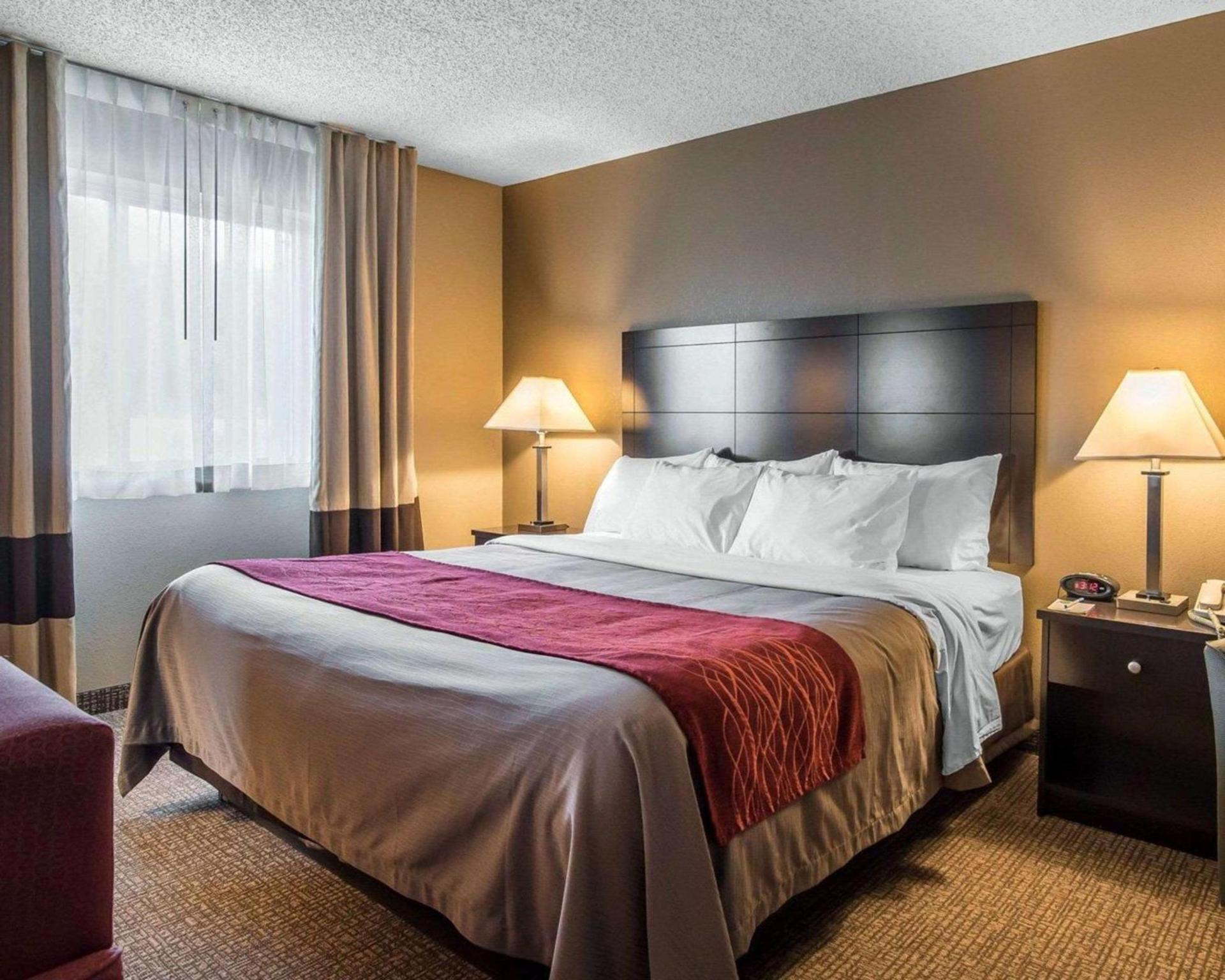 Comfort Inn Saugerties photo 8