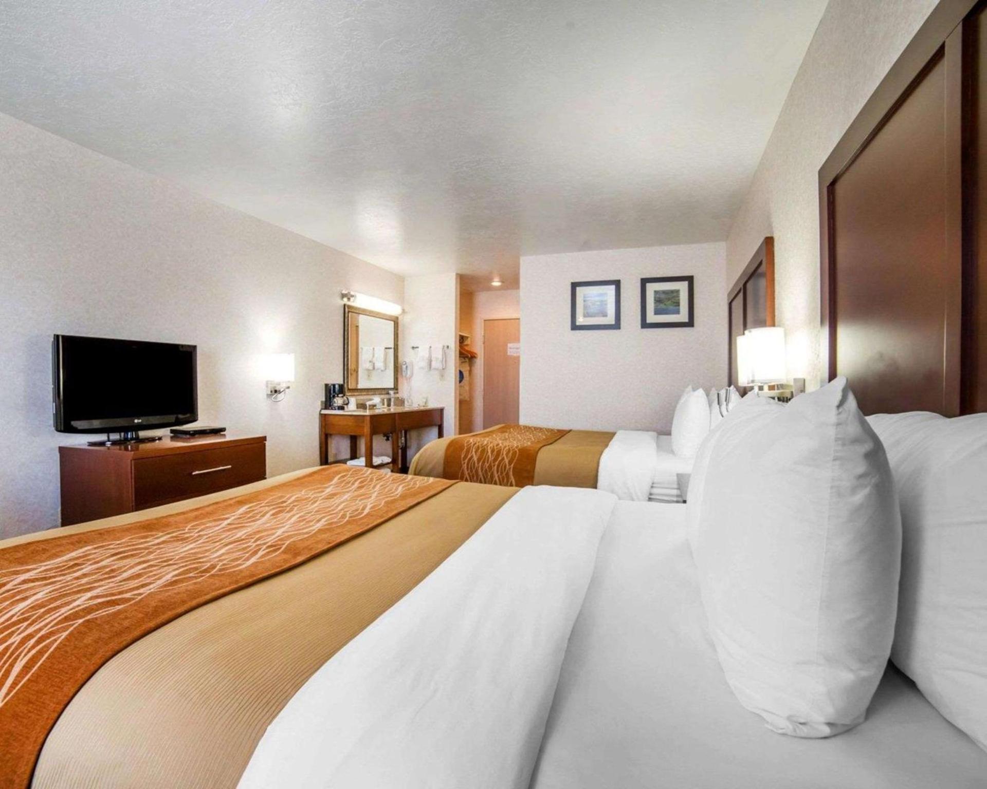 Comfort Inn Elko photo 13